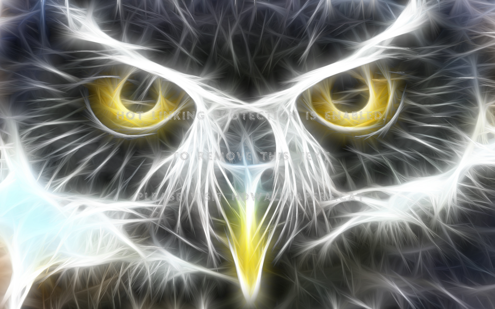 owl gaurdian electric bird abstract animals
