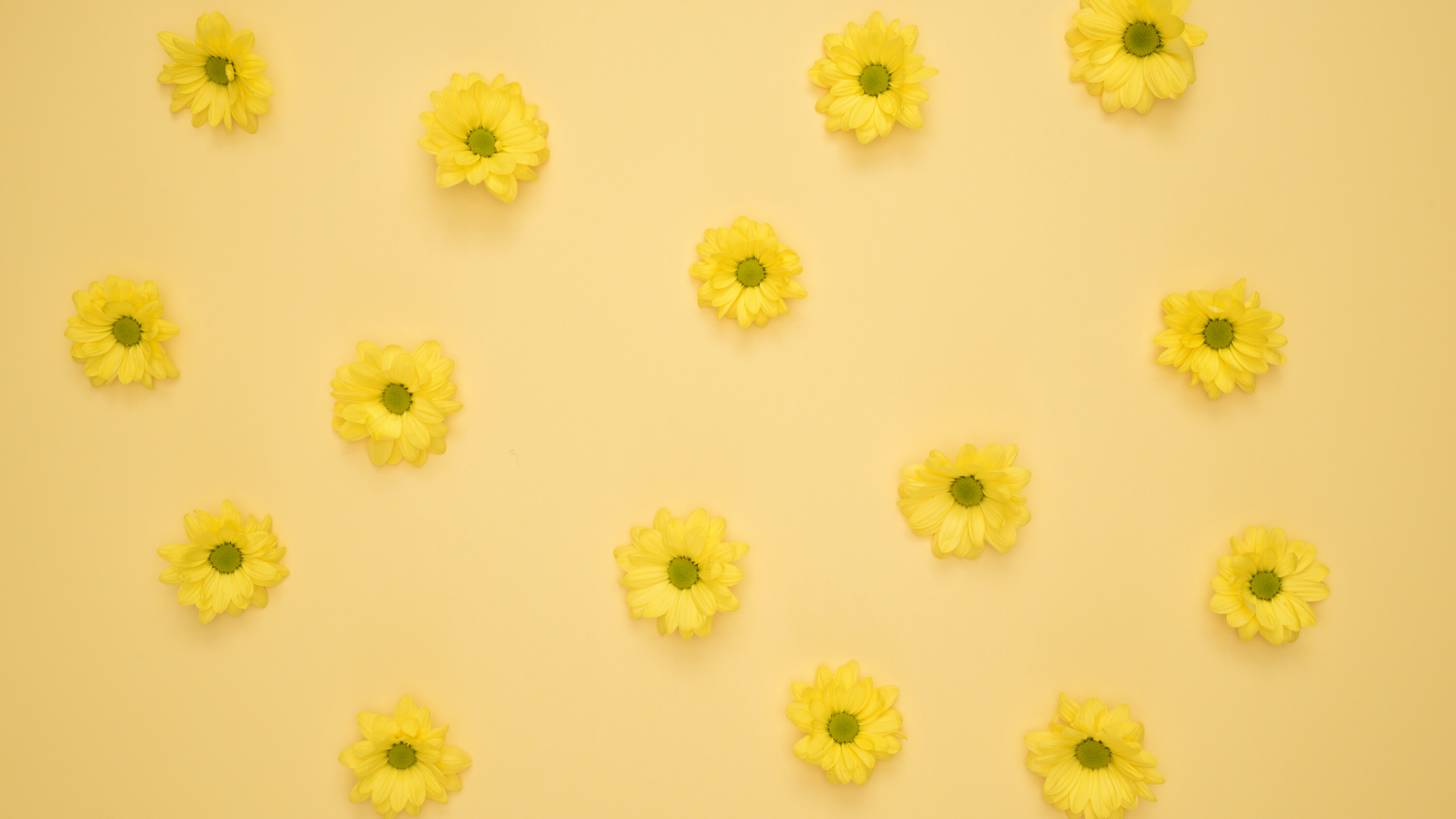 Yellow Aesthetic Flower Desktop Wallpaper Free Yellow Aesthetic Flower Desktop Background