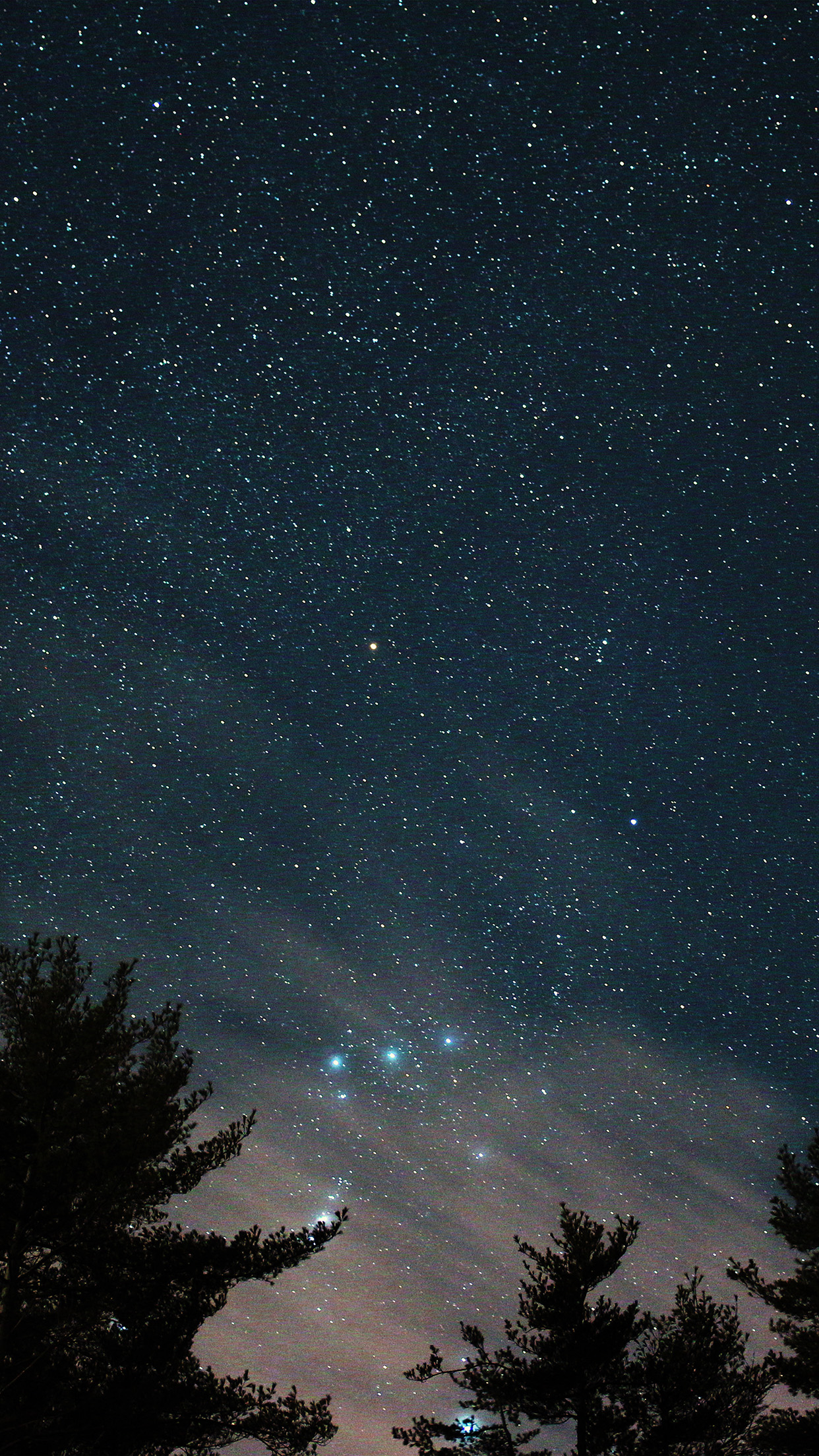 iPhone X wallpaper. night sky star wood space starry blue dark