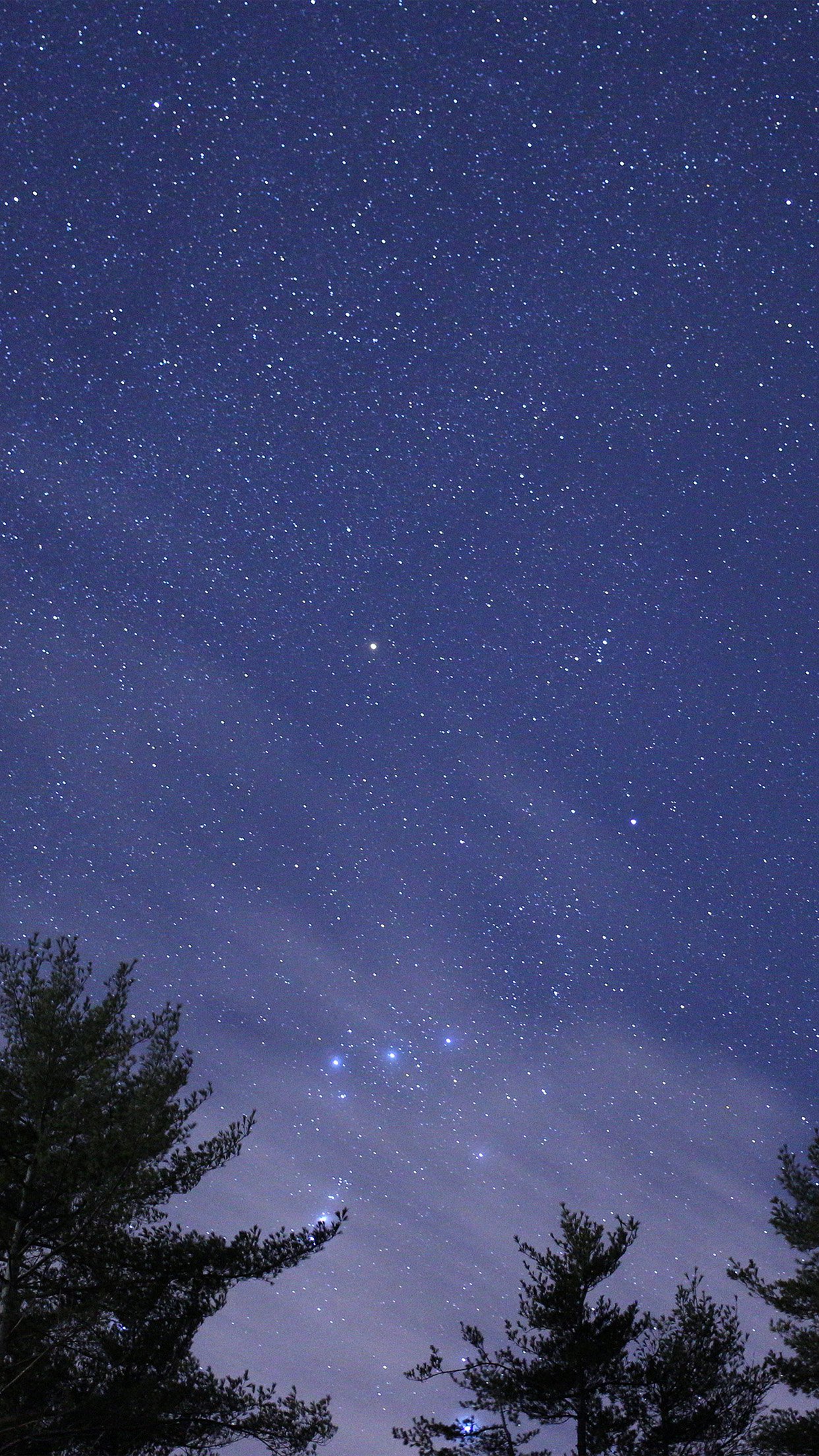 Sky With Stars Wallpaper