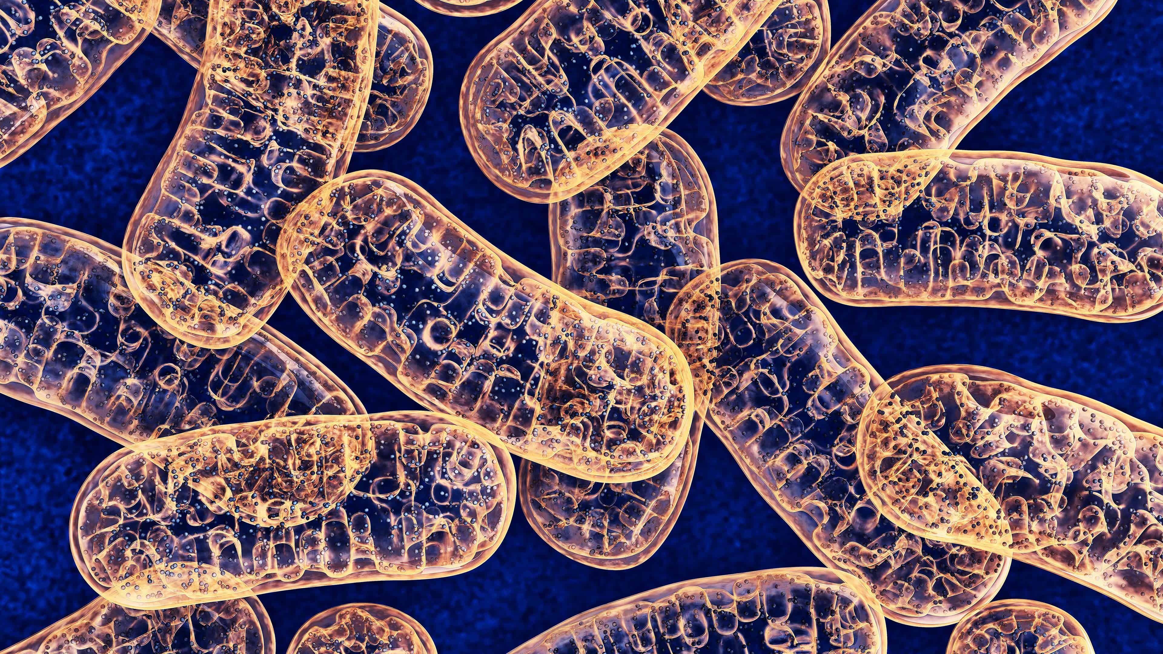 Mitochondria: You're a Powerhouse Card | Cognitive Surplus