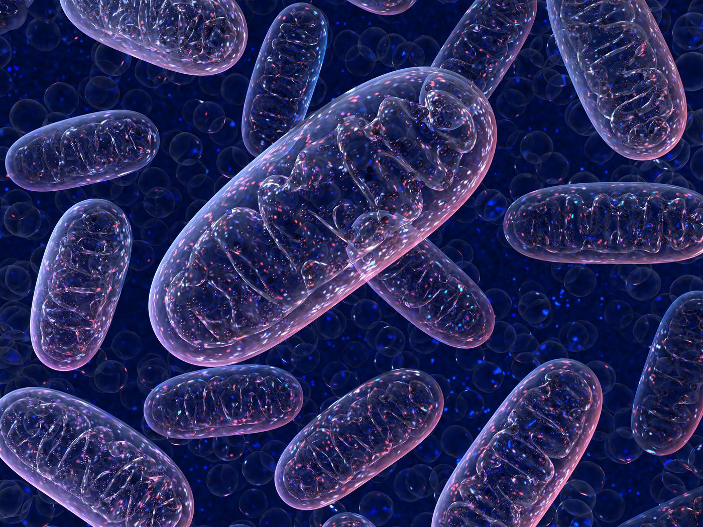 Mitochondrial replacement therapy, a controversial fertility treatment, explained