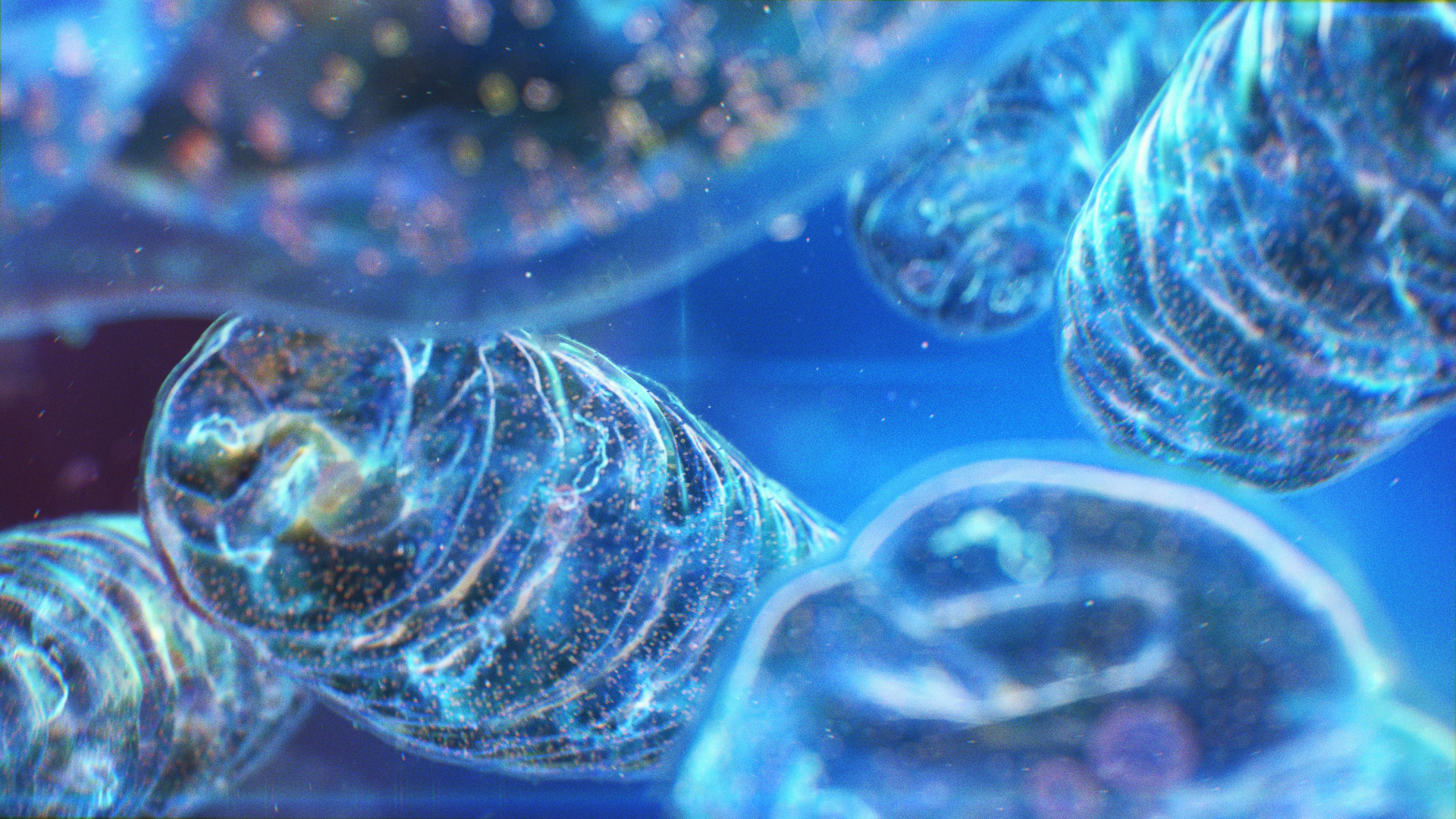 Alexey Kashpersky. Official website