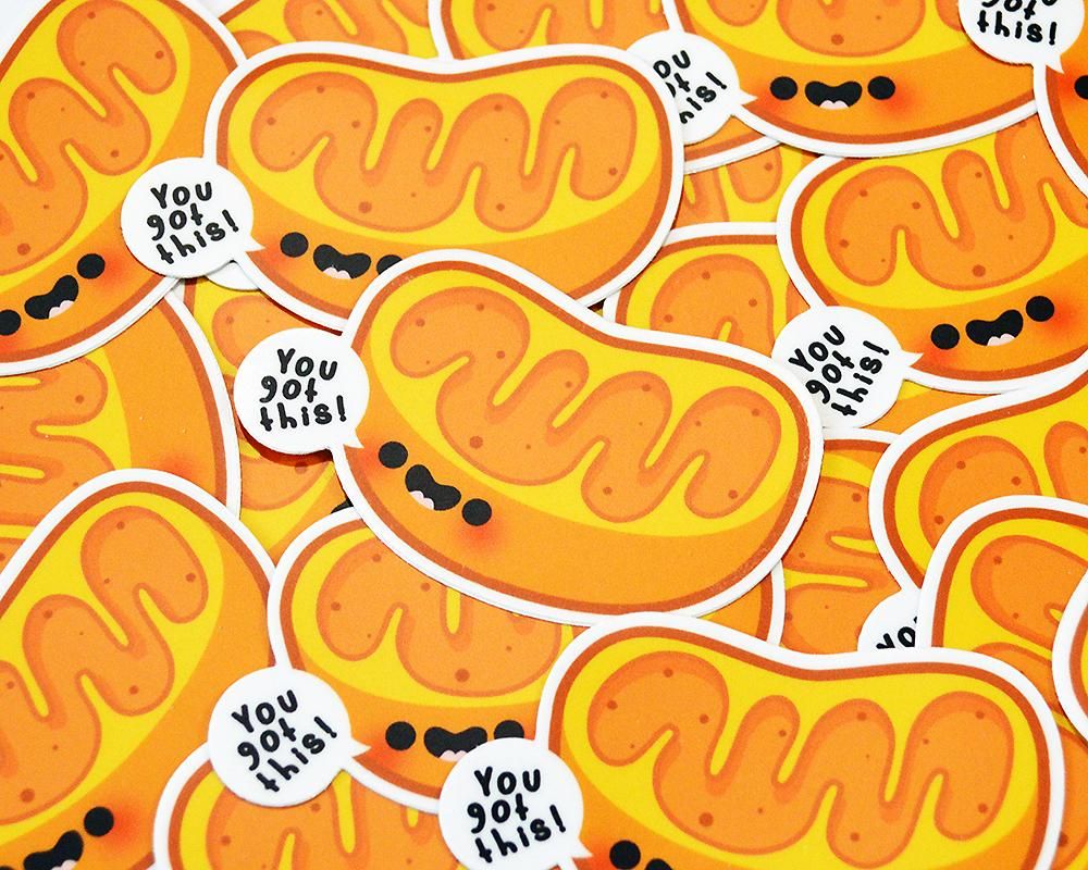 Motivational Mitochondria Vinyl Sticker. Science stickers, Vinyl sticker, Cute stickers