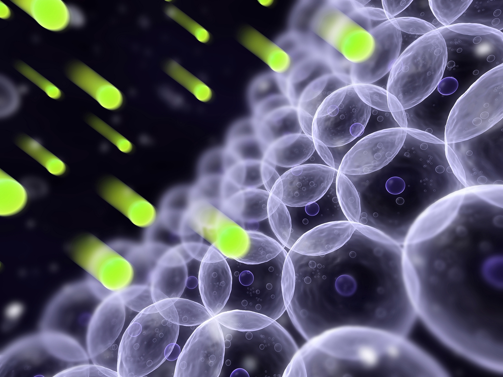 Empower Your Workforce! Mitochondria and Mental Health