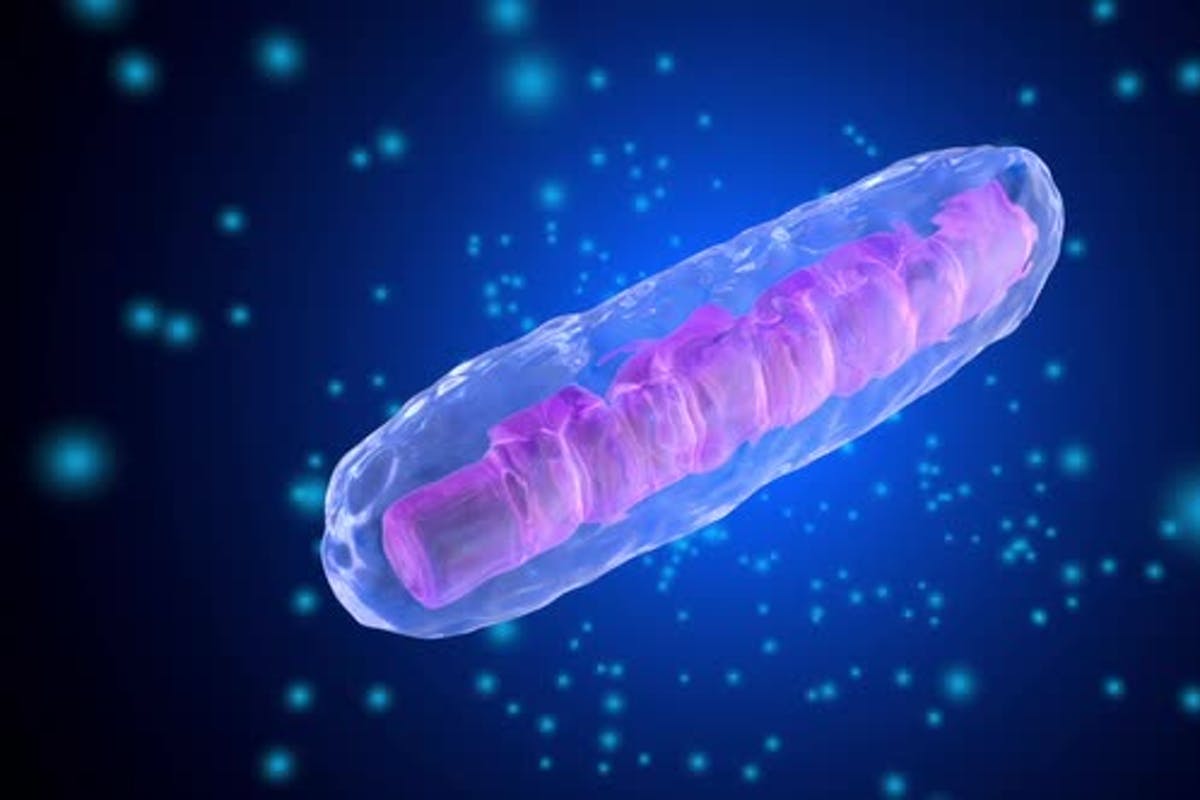 3D rendered Animation of a Mitochondria Cell by Spectral on Envato Elements