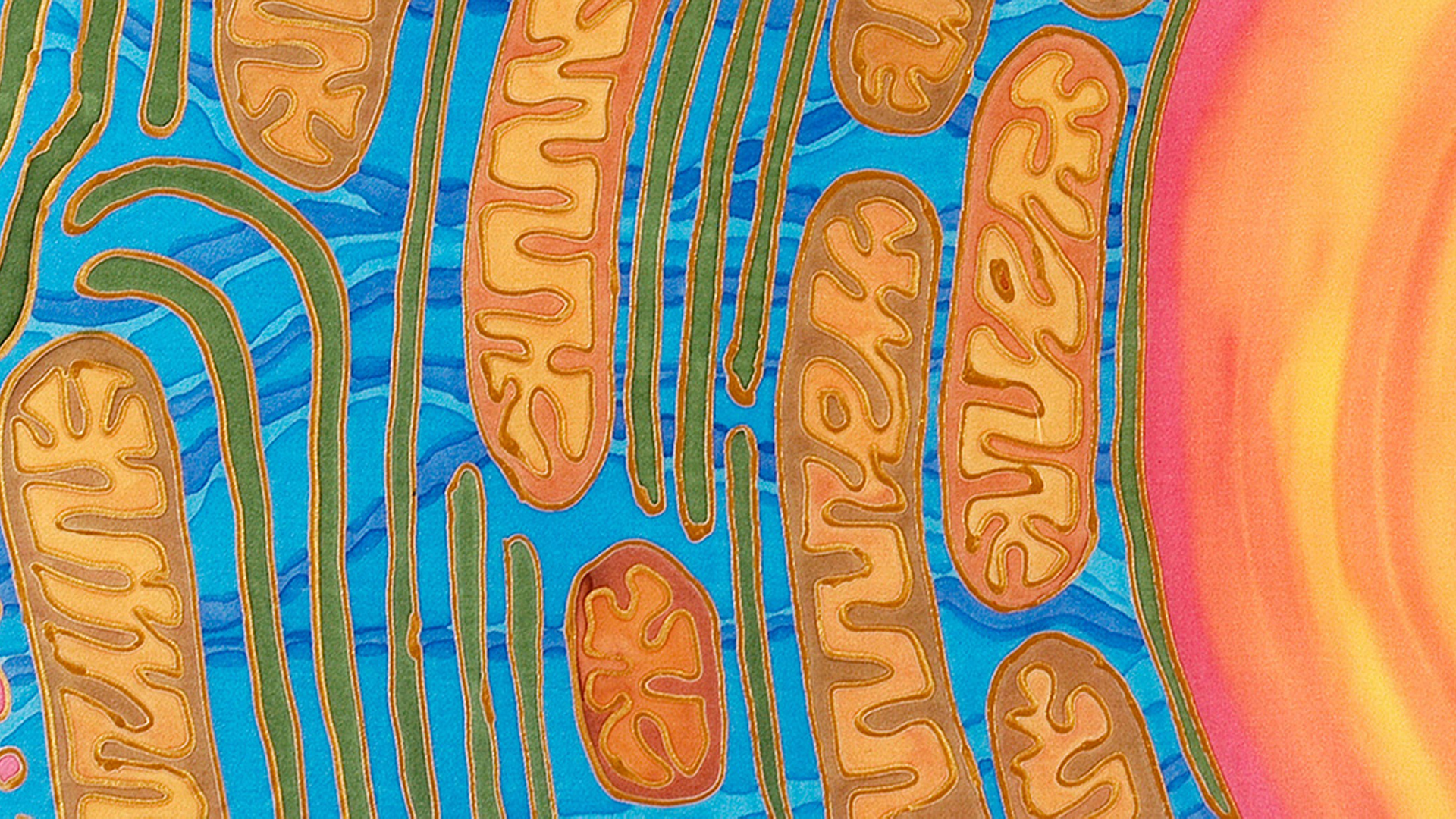 Could mitochondria be the key to a healthy brain?