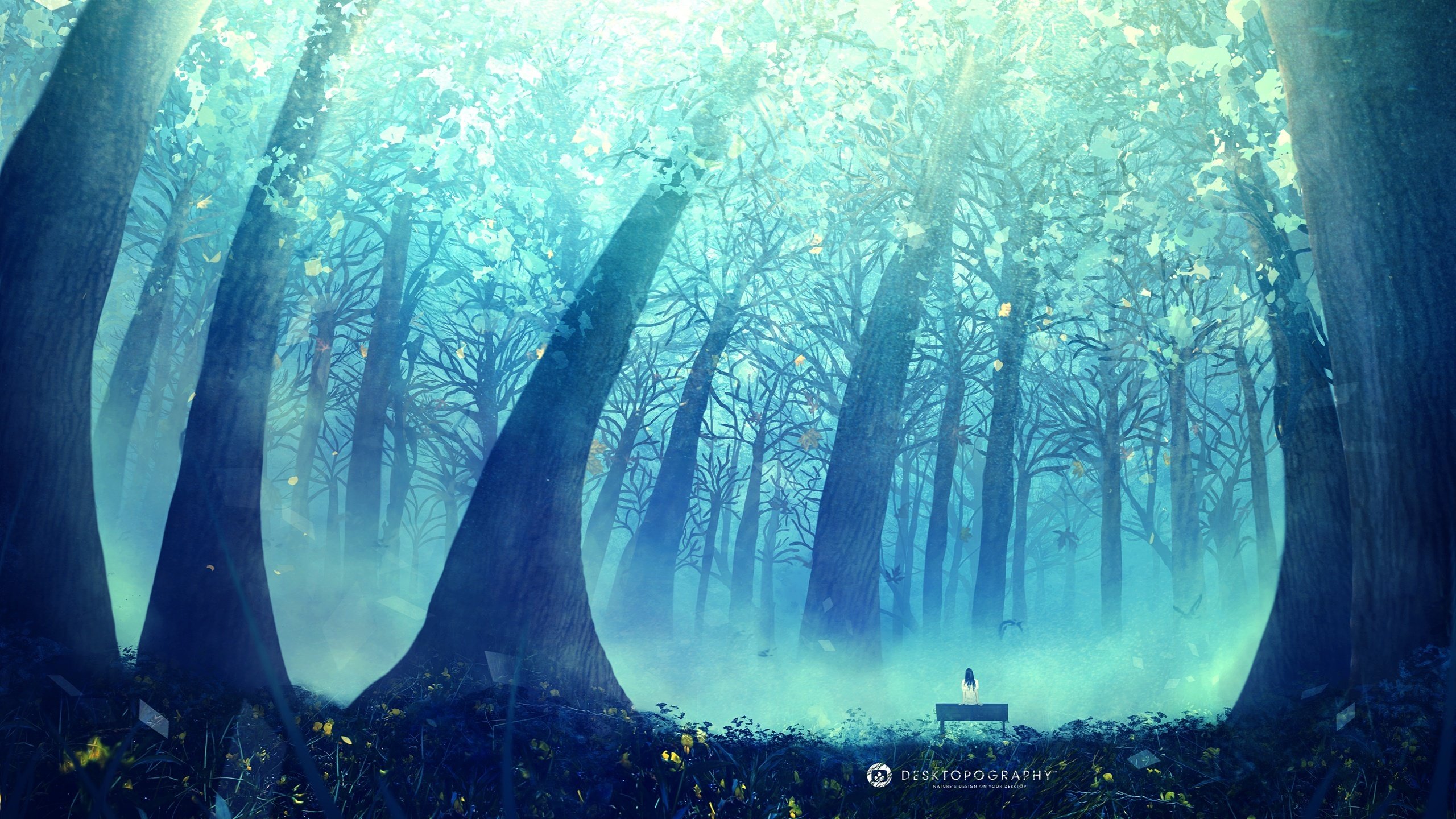 Anime tree forest beauty landscape blue beauty alone girl wallpaperx1440