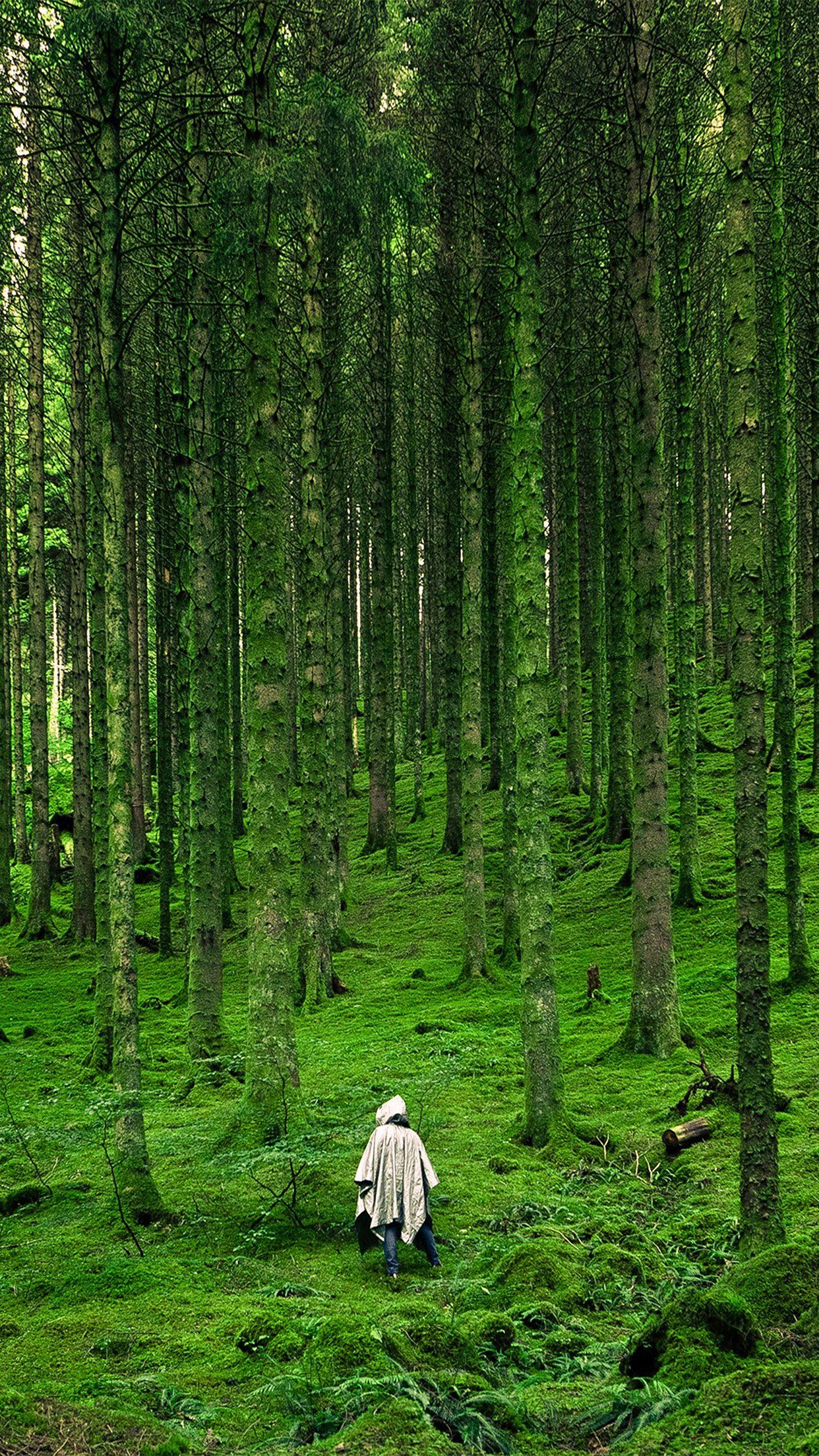 Japanese Forest iPhone Wallpaper