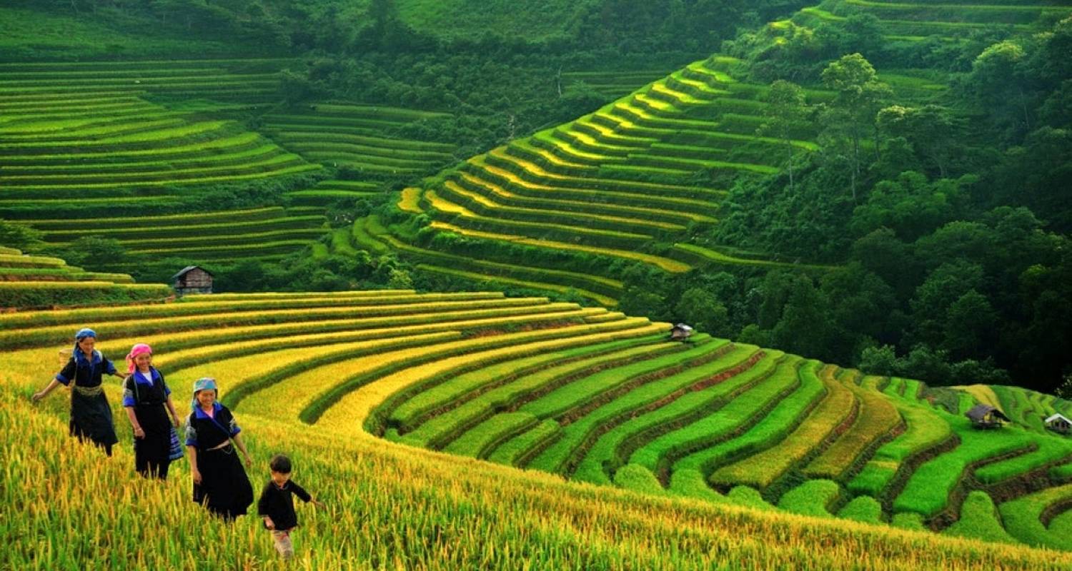 Vietnam and Thailand Deluxe Tour 14 Days ( Sapa /Mekong Delta/ Phuket )