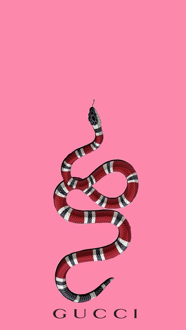 Pink Snake iPhone Wallpaper Free Pink Snake iPhone Background