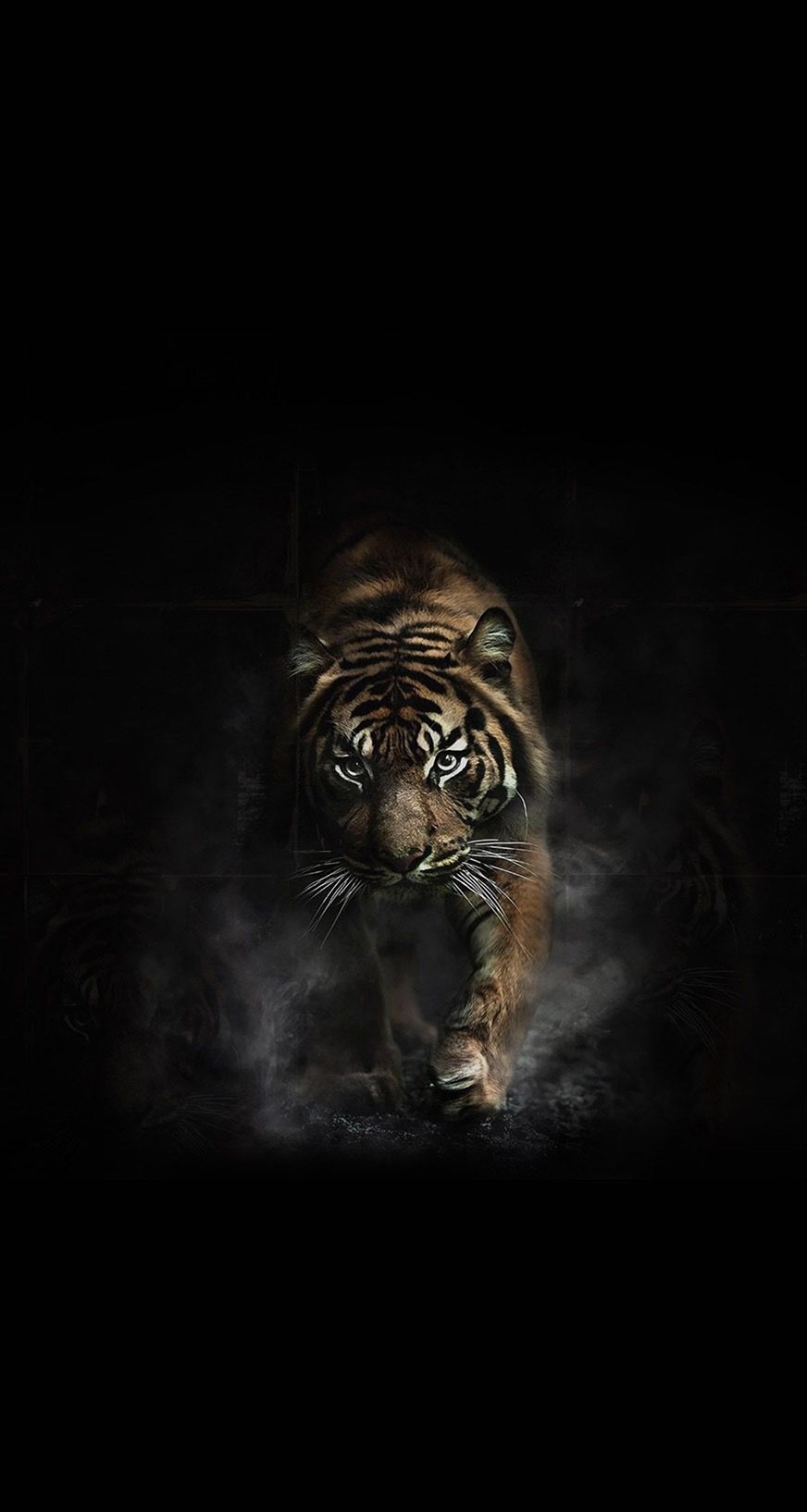 Dark Tiger Wallpaper Free Dark Tiger Background