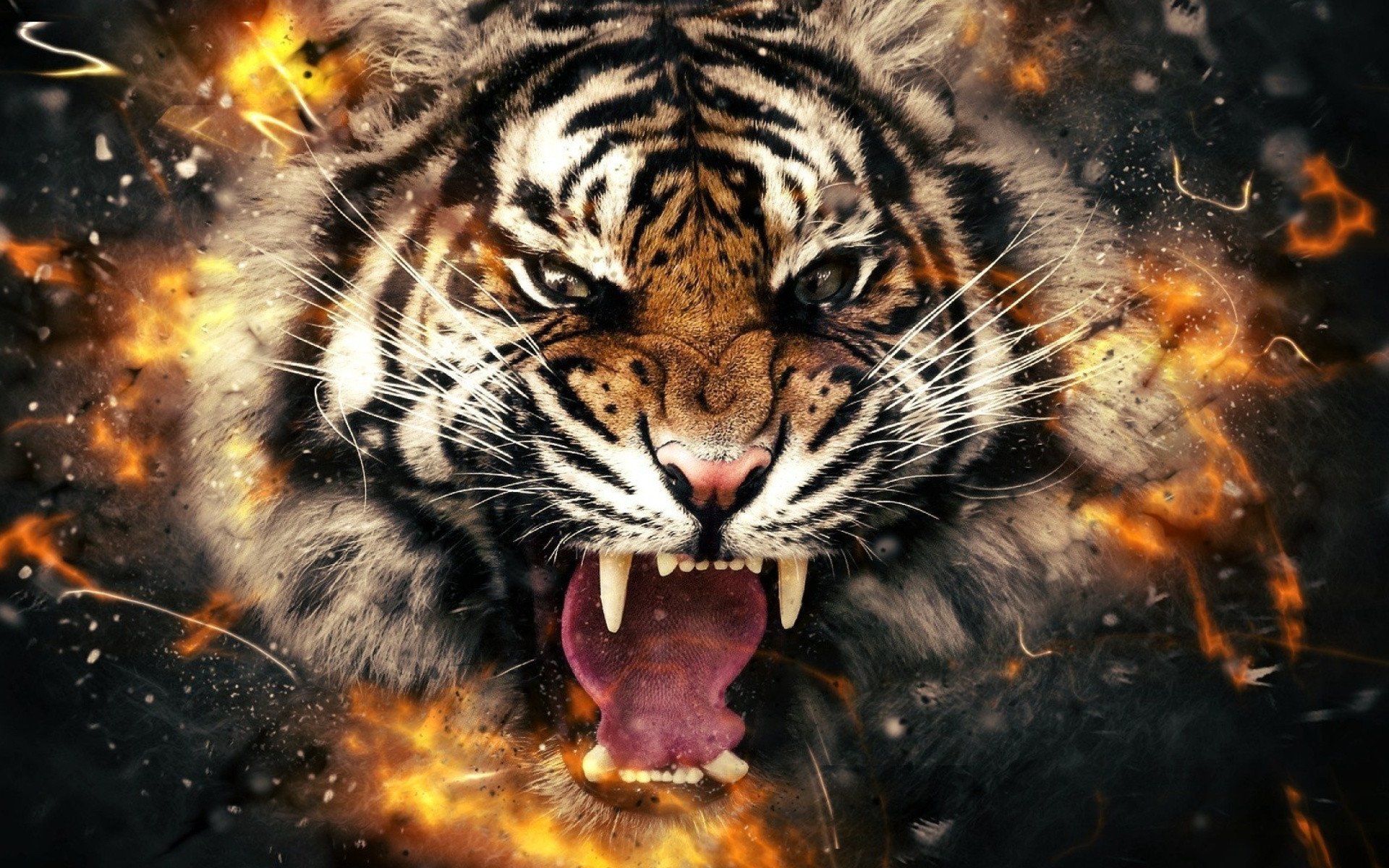 Scary Tiger Wallpapers - Wallpaper Cave