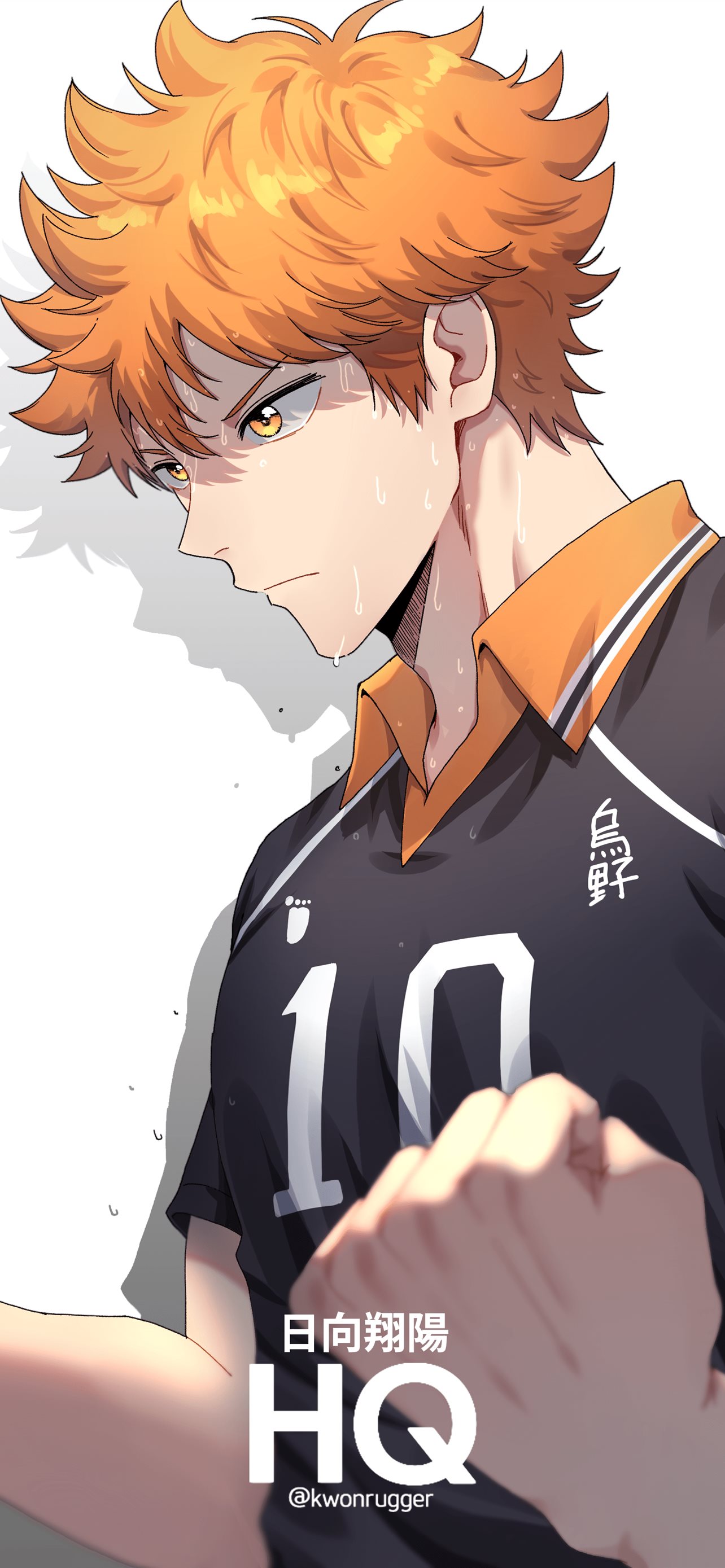 Best Shouyou hinata iPhone HD Wallpaper