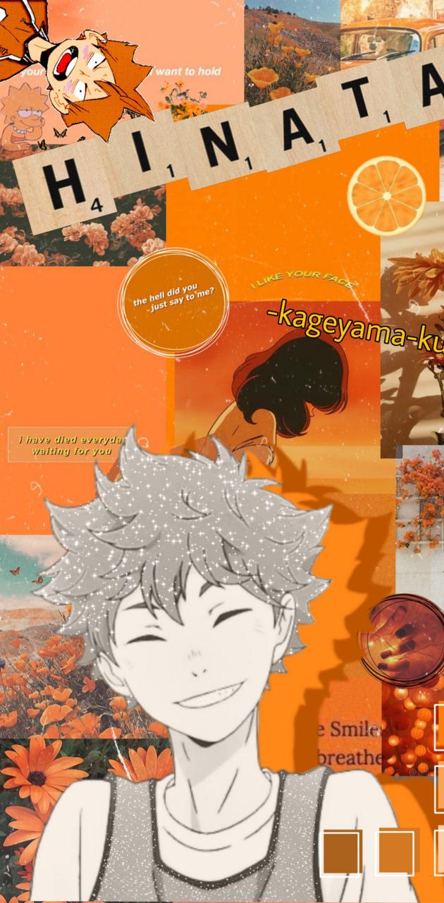 HINATA SHOYO wallpaper