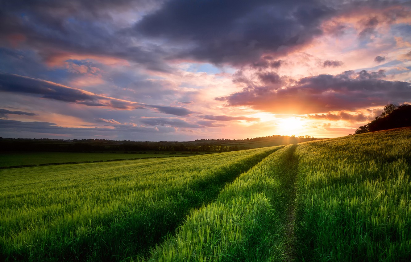 Wallpaper field, the sky, clouds, sunset, spring, the evening, May image for desktop, section пейзажи