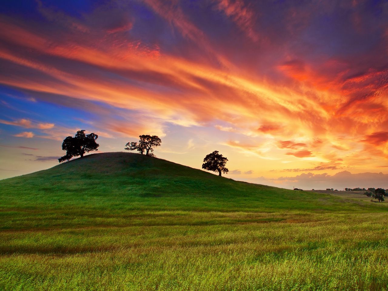 Download wallpaper 1280x960 usa, california, sunset, spring, may, sky, clouds, field, grass, trees standard 4:3 HD background