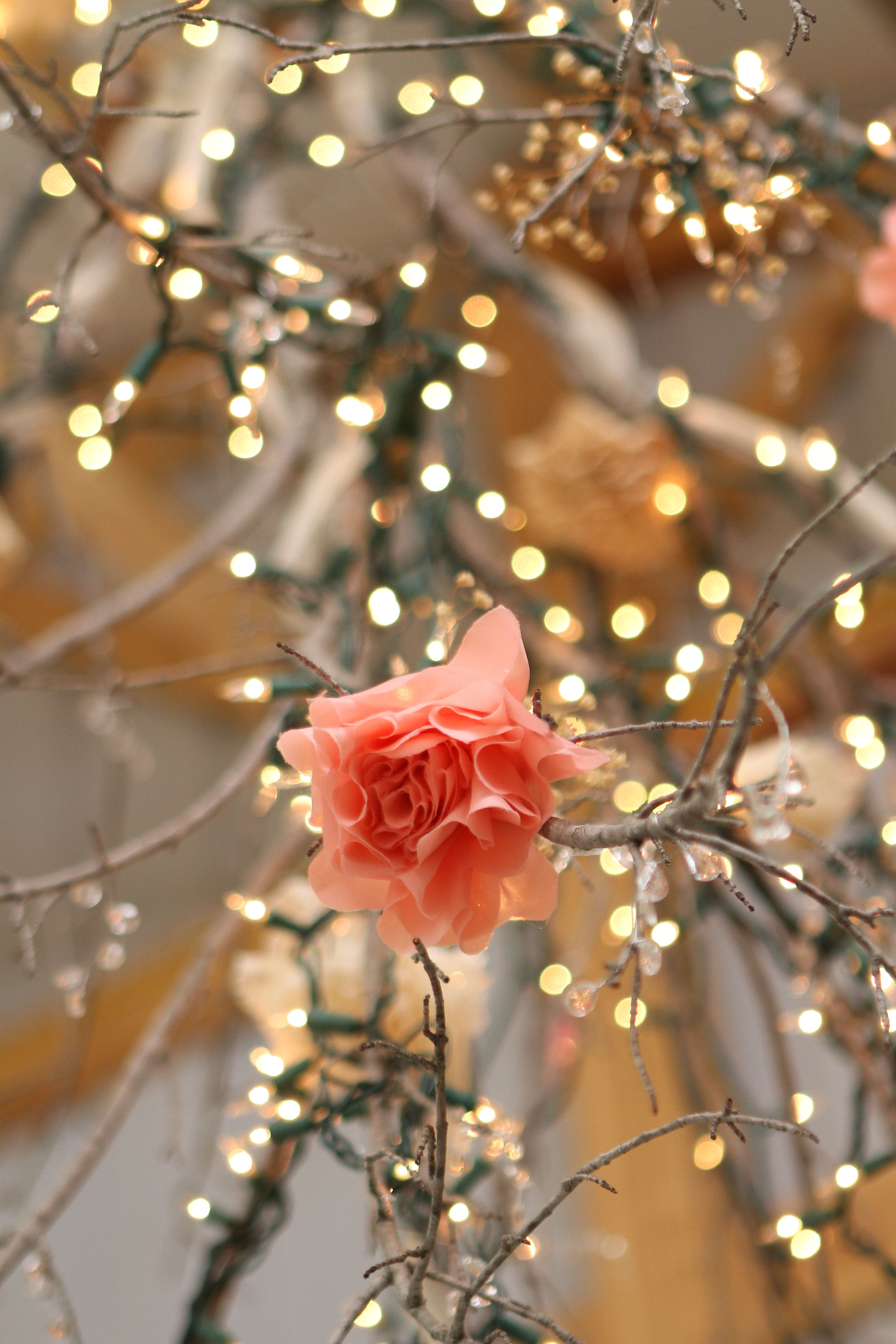 Wedding decoration pink flower branches fairy lights. Beautiful landscape wallpaper, Flower branch, Pink flowers