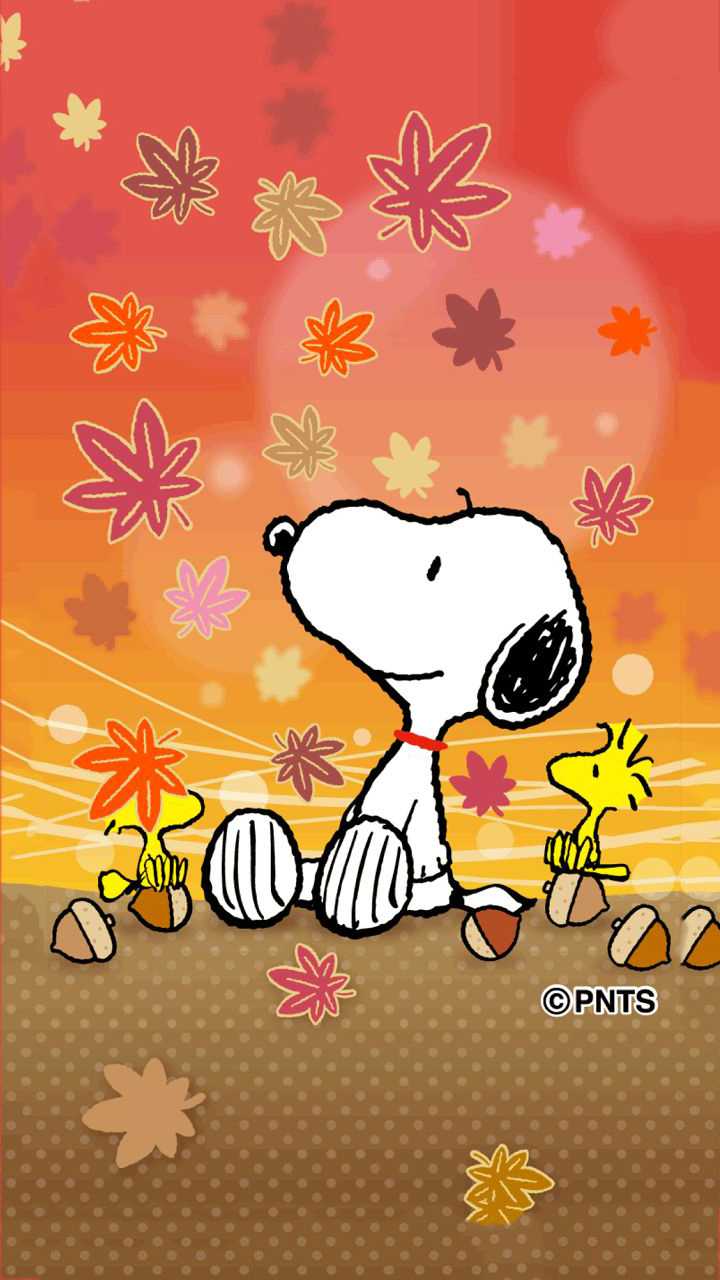 Peanuts Fall Wallpapers - Wallpaper Cave