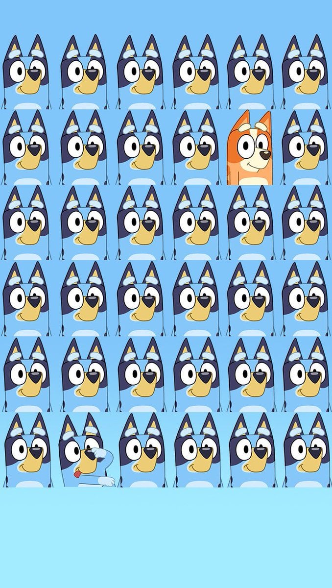 bluedigitalcat quick wallpaper idea for my phone. Feel free to use if you like. Made to work in iPhone SE #bluey #wallpaper