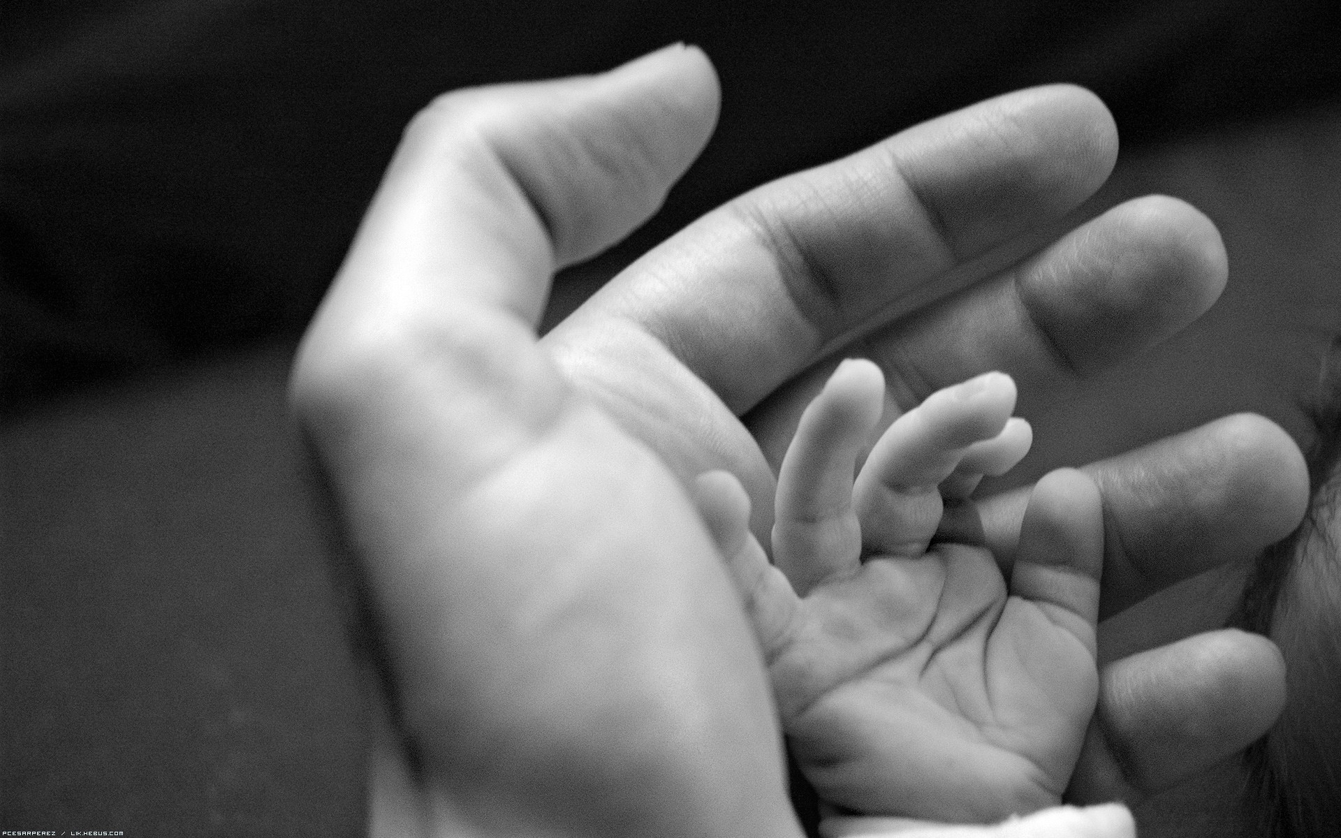 Baby Hands HD wallpaper