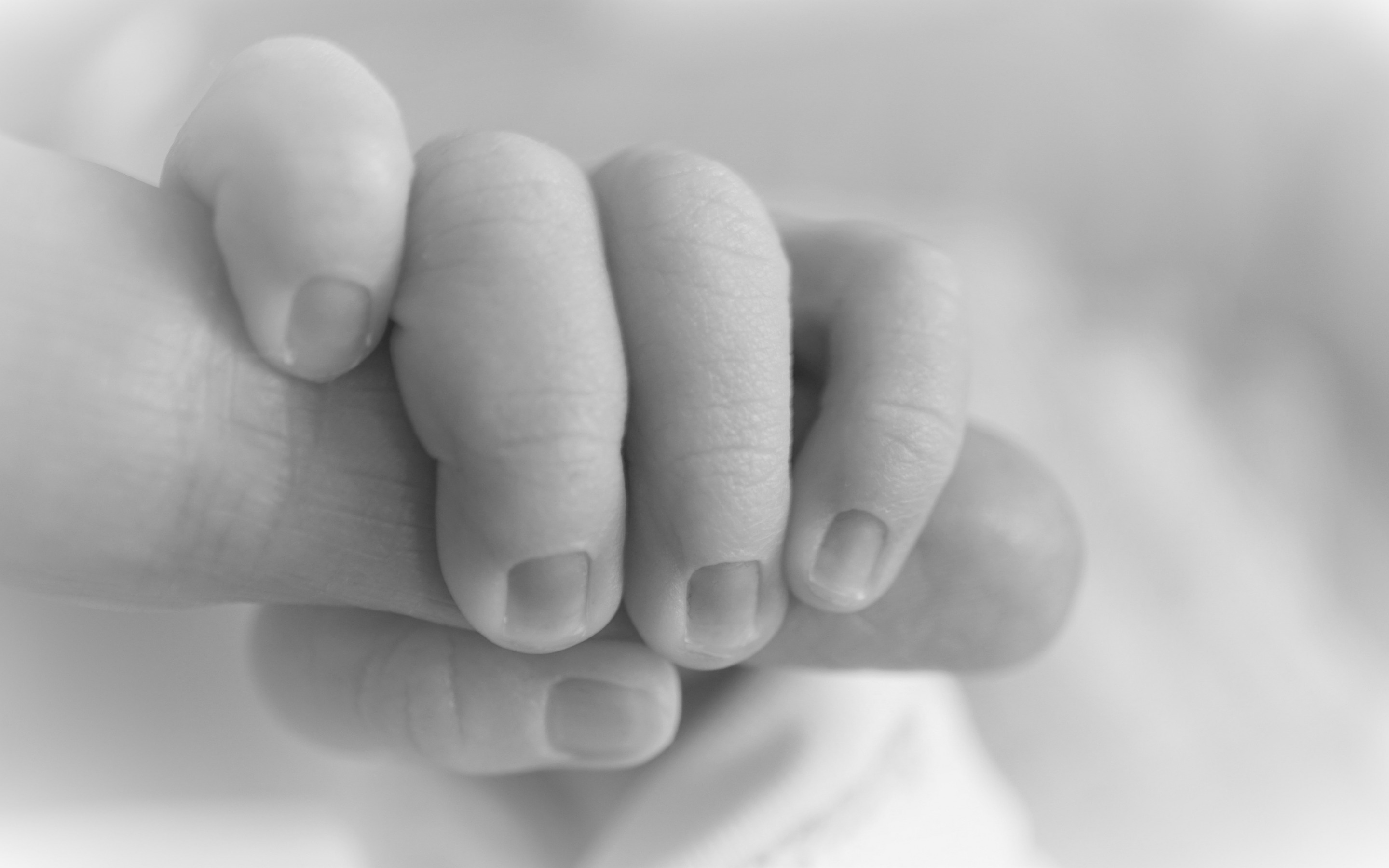 Family Concepts, Hands Of Mom And Baby, Birth Of A Baby Hand Black And White Wallpaper & Background Download