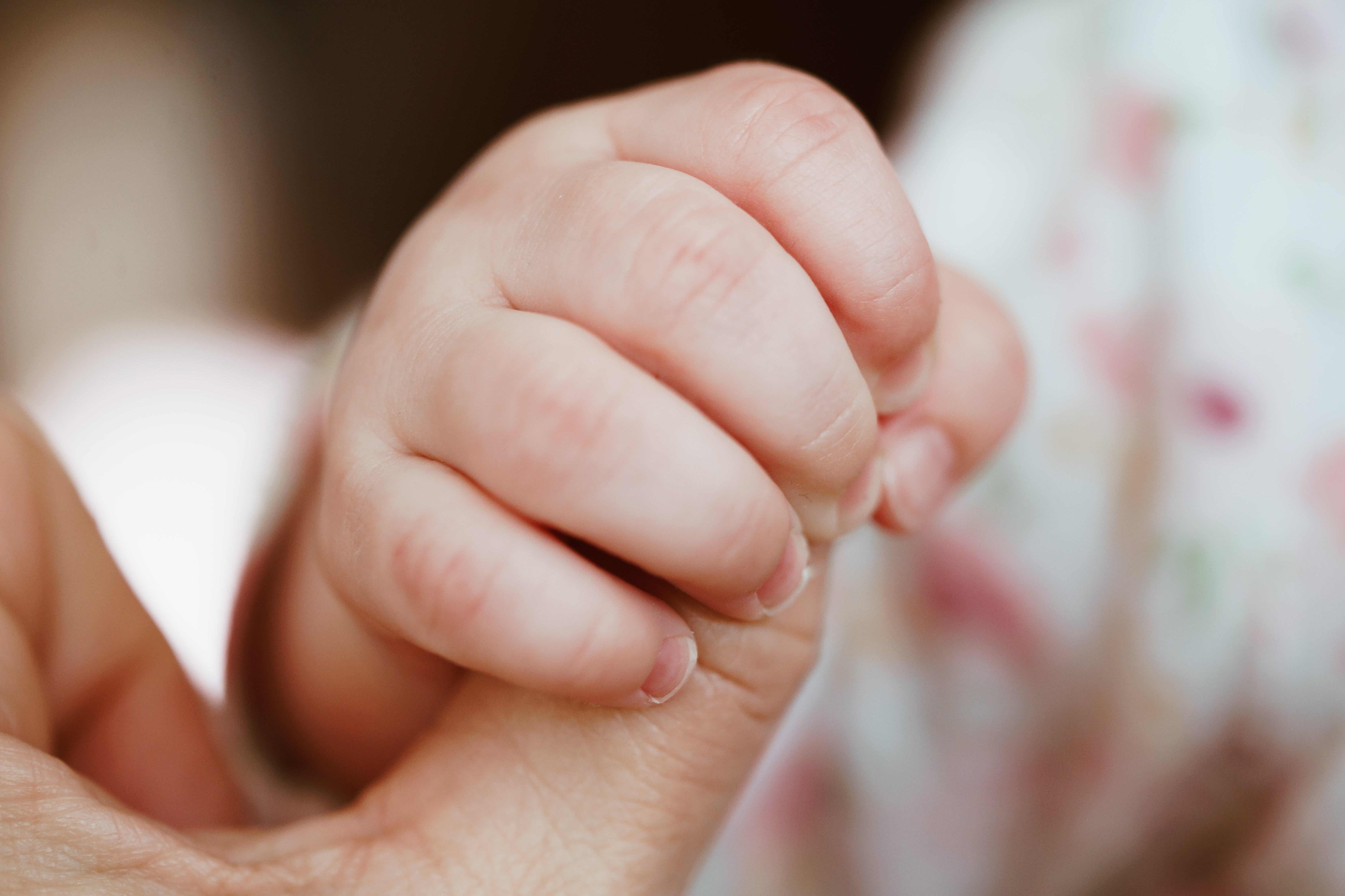 Close Up Of Baby's Hand Holding Parent's Finger Free