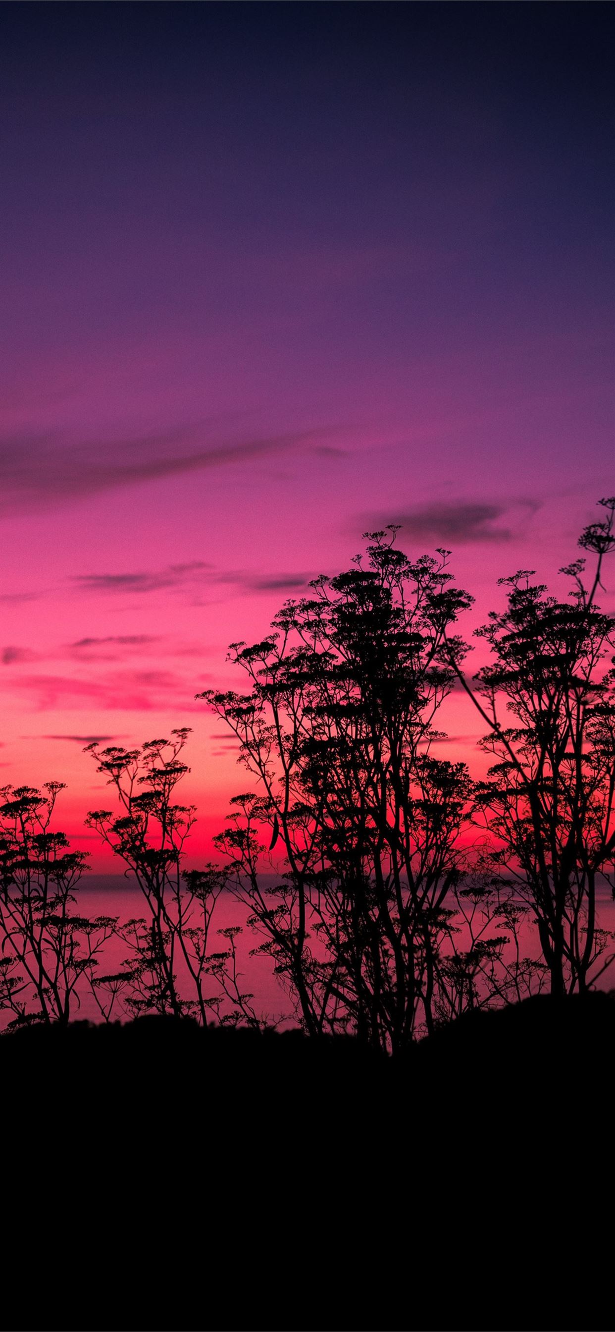 pink sunset lake side 5k iPhone 11 Wallpaper Free Download