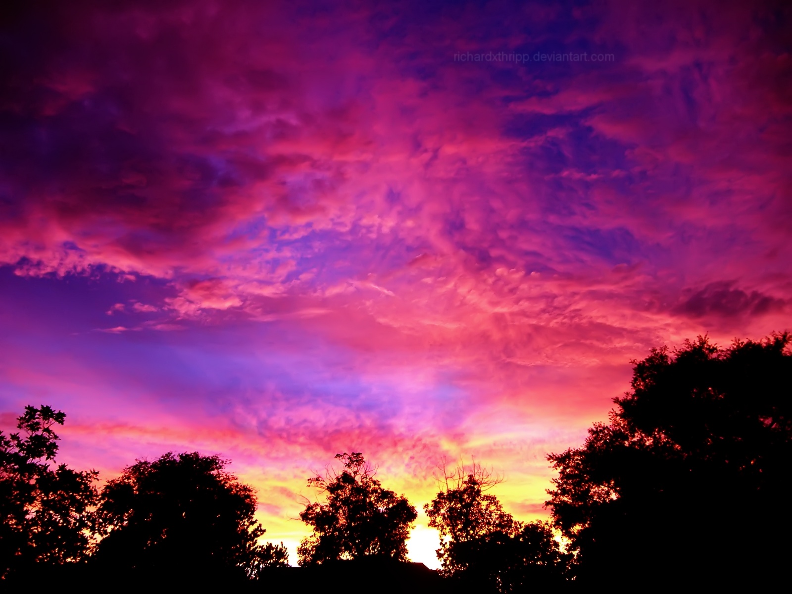 Fiery Pink Sunset 2 Wallpaper