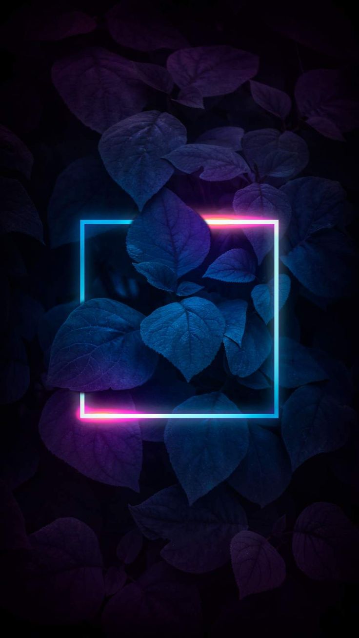 iPhone Wallpaper for iPhone 12, iPhone 11, iPhone X, iPhone XR, iPhone 8 Plus High Quality Wa. Wallpaper iphone neon, Neon light wallpaper, Photography wallpaper