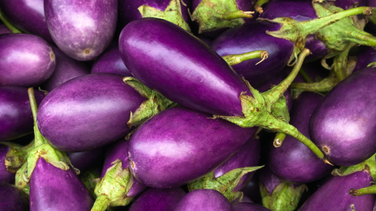 Cooking Eggplant: What Mistakes Should You Avoid?