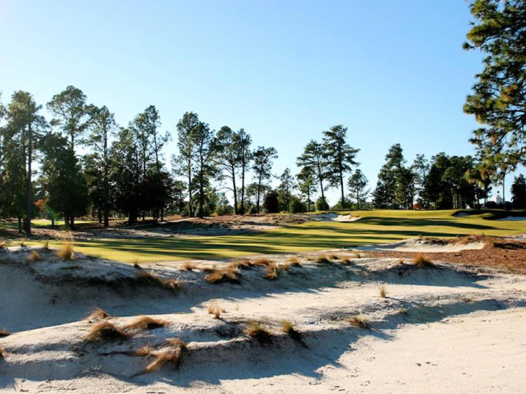 Pinehurst No. 2 of Golf