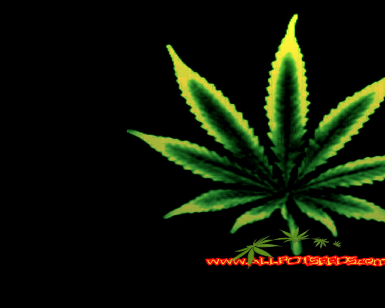 Free download Cannabis plant leaf wallpaper 1920x1080 HD Weed Wallpaper [1920x1080] for your Desktop, Mobile & Tablet. Explore Weed Wallpaper. Trippy Wallpaper, 420 Wallpaper, Marijuana Wallpaper