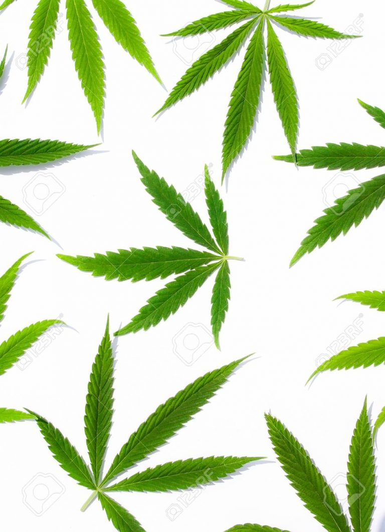 marijuana wallpaper 3
