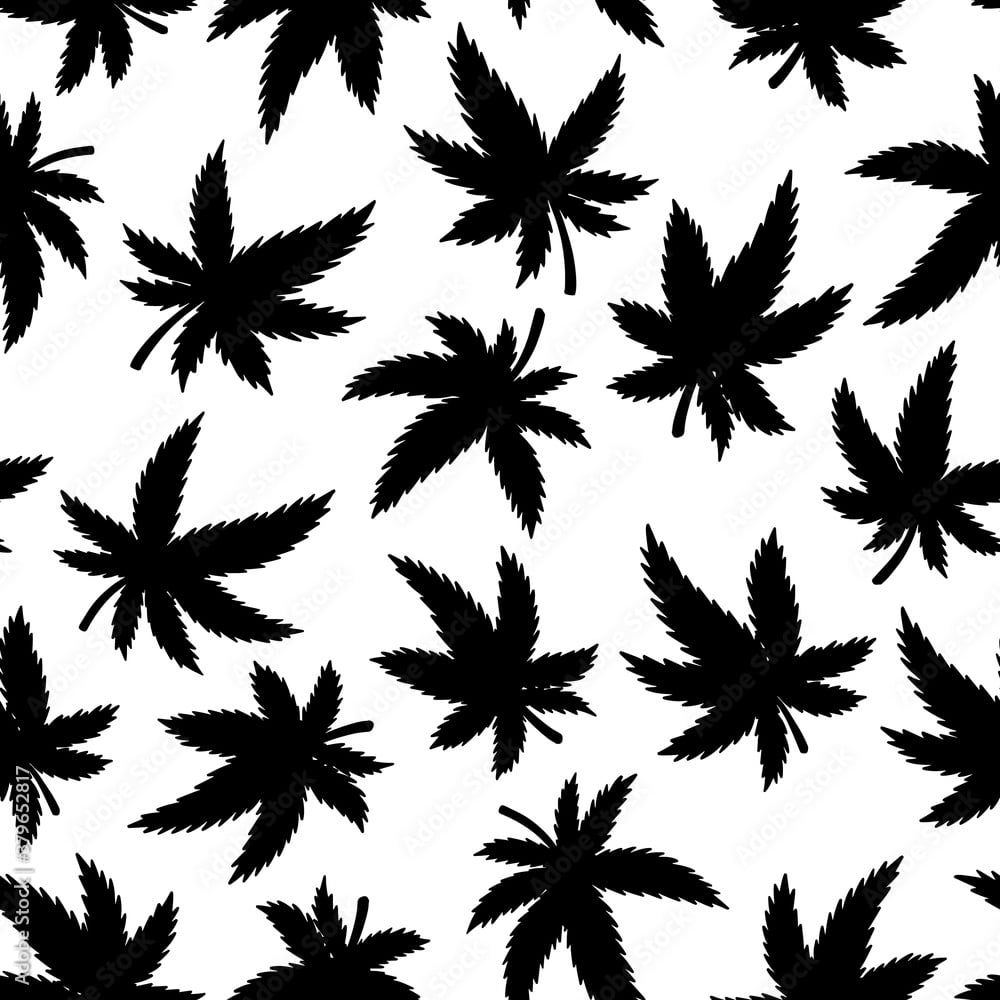 Marijuana Seamless Pattern Hand Drawn Black And White Cannabis Leaf Wallpaper Vector Illustration For Web, Packaging, Wrapping, Fashion, Decor, Surface, Graphic Design Wall Mural Leavector