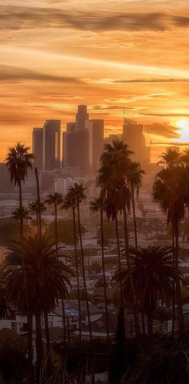 Sunset Los Angeles wallpaper