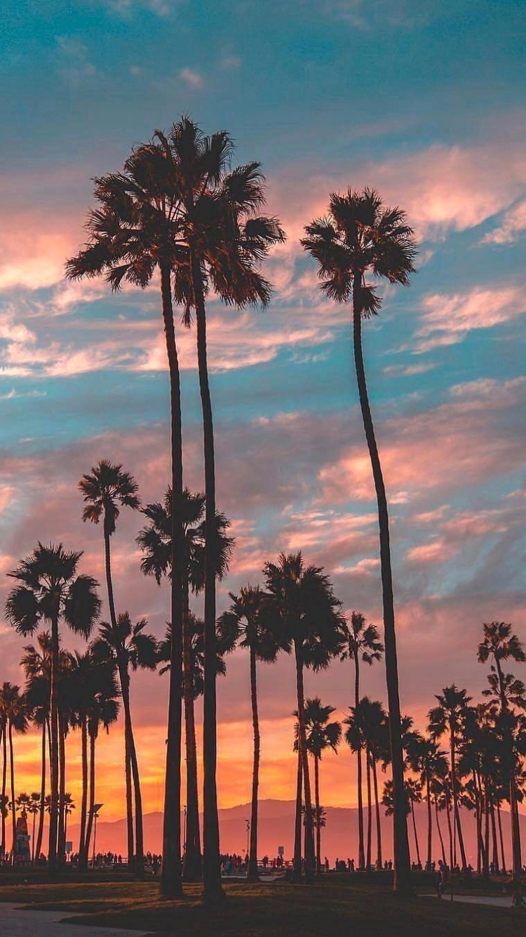 Los Angeles Sunset Wallpapers - Wallpaper Cave