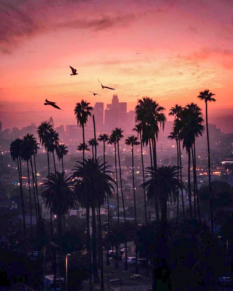 Los Angeles California Wallpaper Sunset