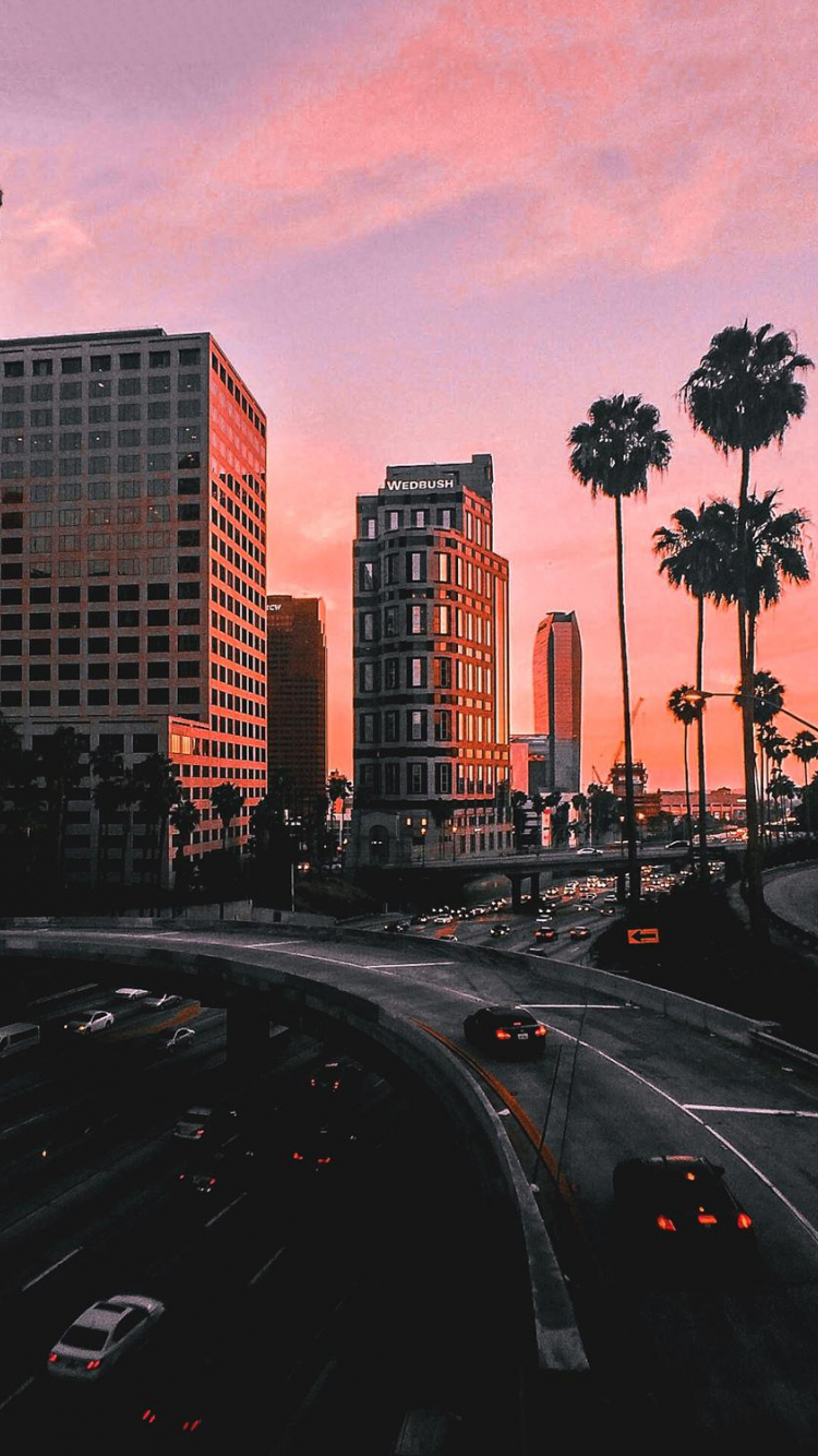 Free download City Sunset Palms Traffic Cars Los Angeles 1000x1500 Wallpaper [1000x1500] for your Desktop, Mobile & Tablet. Explore City Sunset Wallpaper. Sunset City Wallpaper, Sunset Background, Sunset Wallpaper