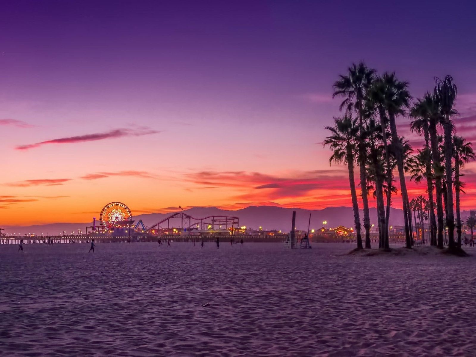 Palm Trees Digital Wallpaper, Beach, Los Angeles, Sunset, Sky • Wallpaper For You