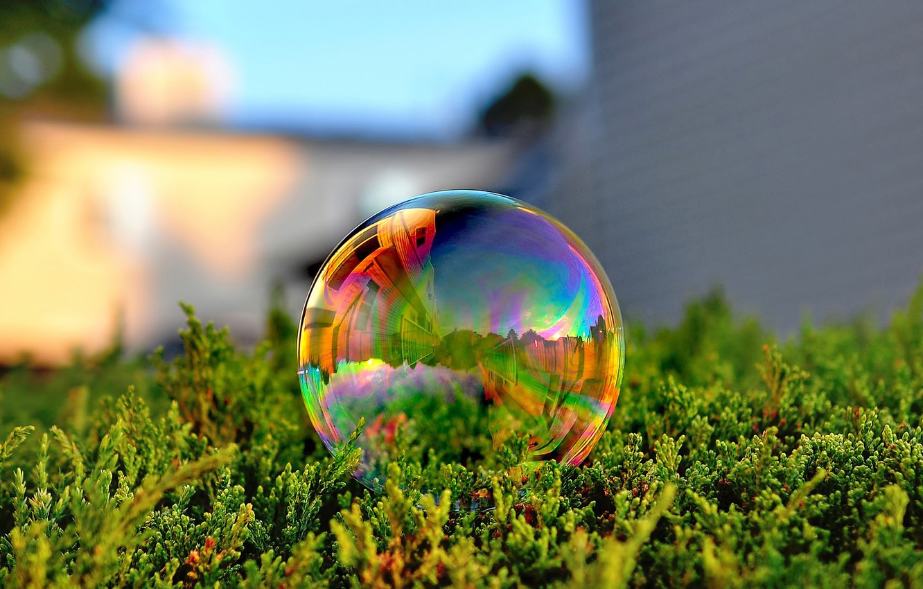 Wallpaper green, grass, photo, macro, color, reflection, Bubble, soap bubble image for desktop, section макро