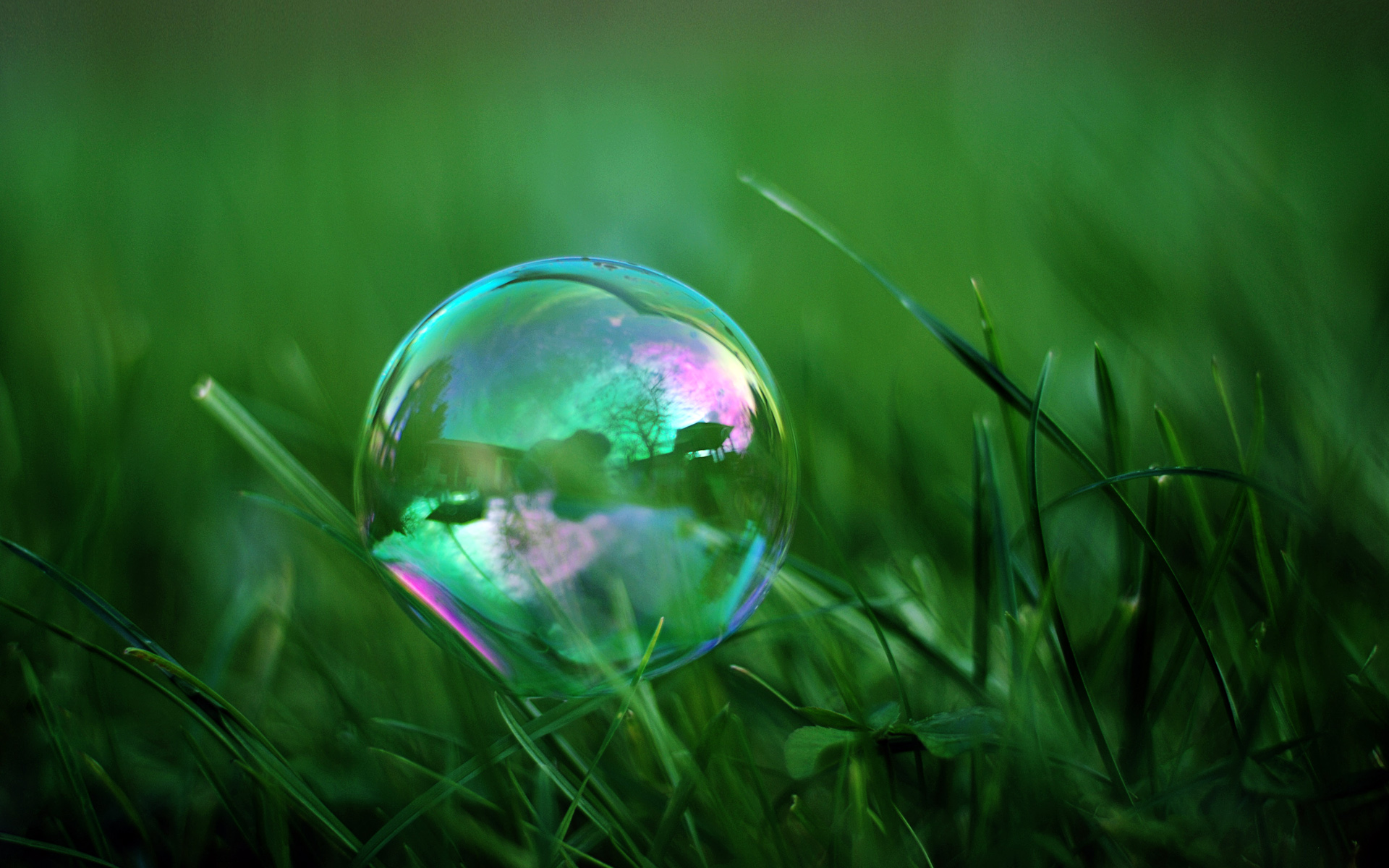 Free download Soap Bubbles Wallpaper 1920x1200 HD Wallpaper [1920x1200] for your Desktop, Mobile & Tablet. Explore Bubble Wallpaper for My Desktop. Moving Bubbles Desktop Wallpaper, Live Bubbles Wallpaper for