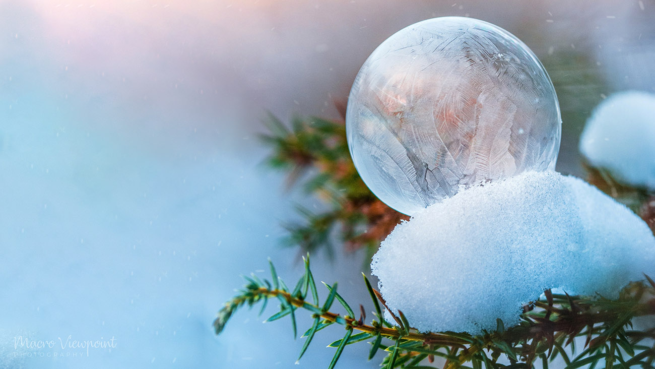 How to freeze soap bubbles? Perfect idea for a Winter photo