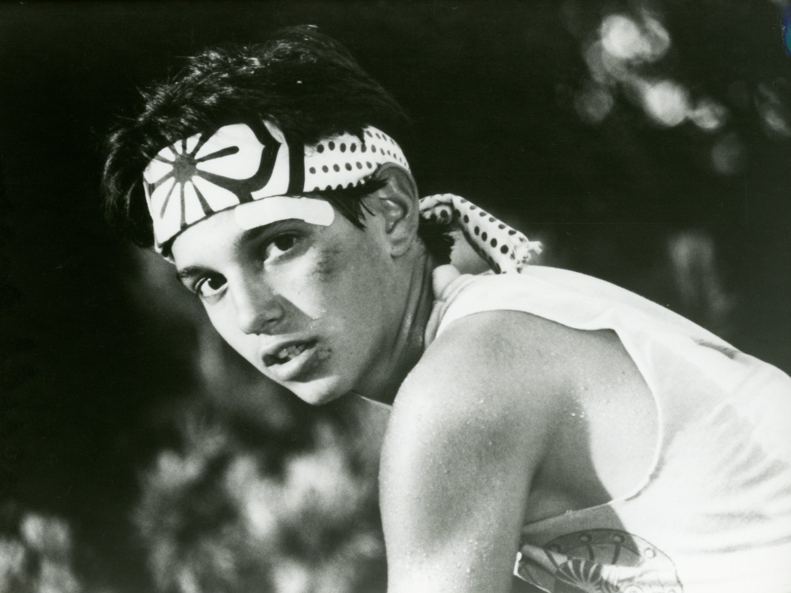 Free download Ralph Macchio image Picture of Ralph HD wallpaper and [1600x1200] for your Desktop, Mobile & Tablet. Explore Ralph Macchio Wallpaper. Ralph Macchio Wallpaper, Ralph Lauren Wallpaper, Ralph