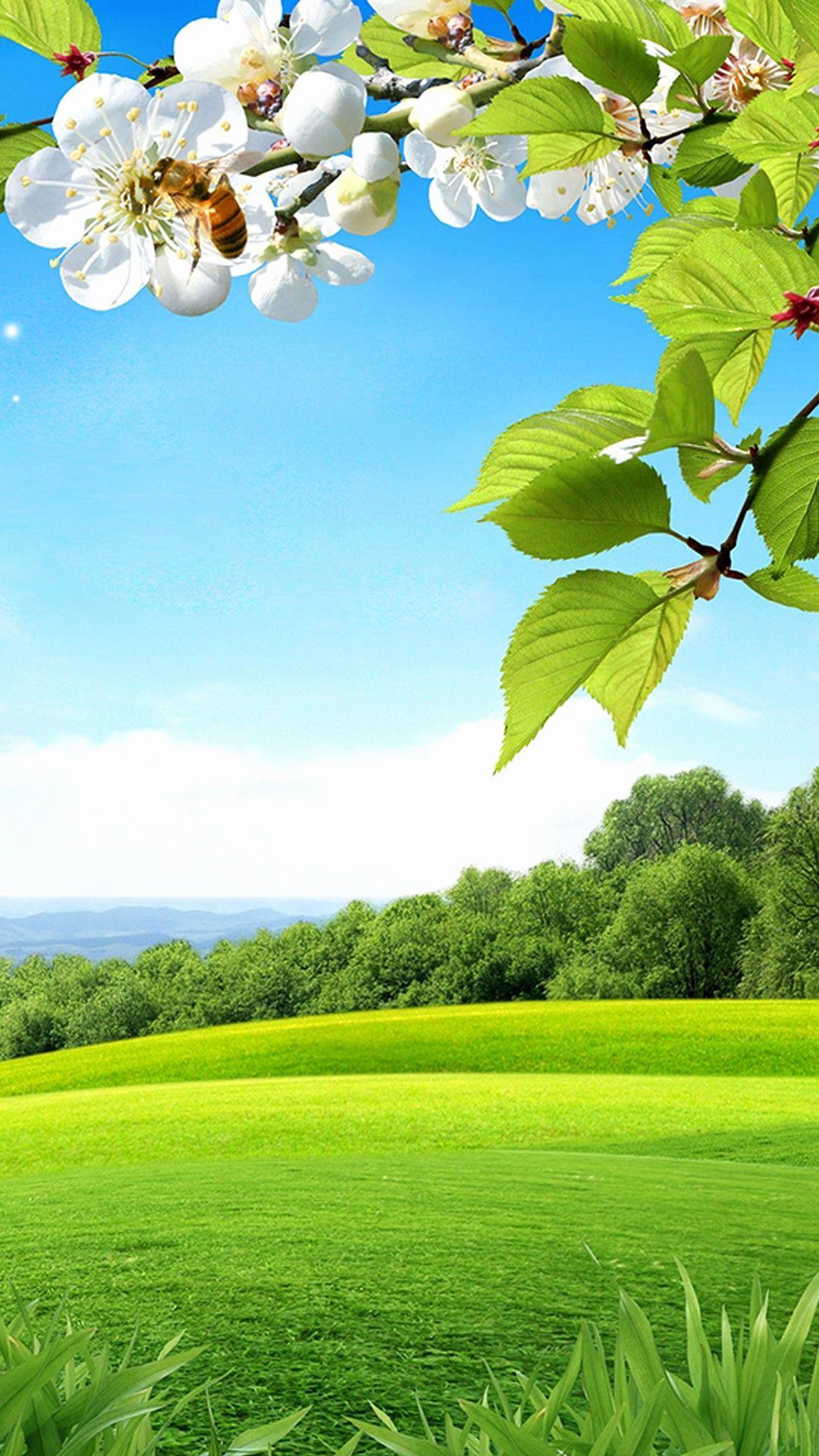 Green Spring HD Wallpaper for Android