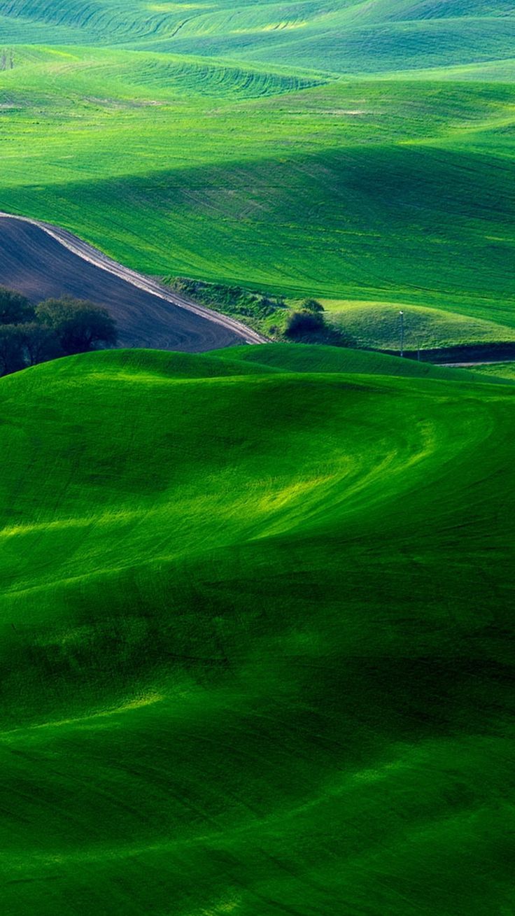 Dreamy Green Fields Countryside iPhone 6 Wallpaper. Beautiful nature wallpaper, Nature wallpaper, Best nature wallpaper