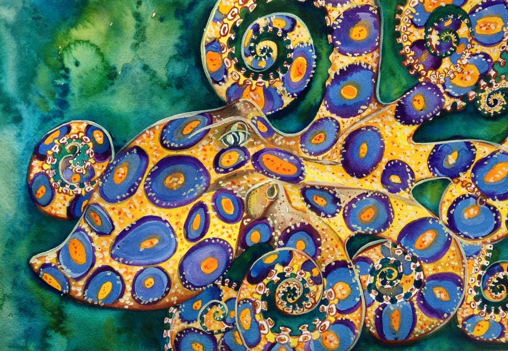 Blue Ringed Octopus HD Wallpaper and Background Image