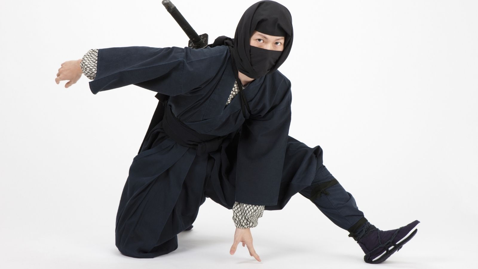 Ninja stealth стим фото 108