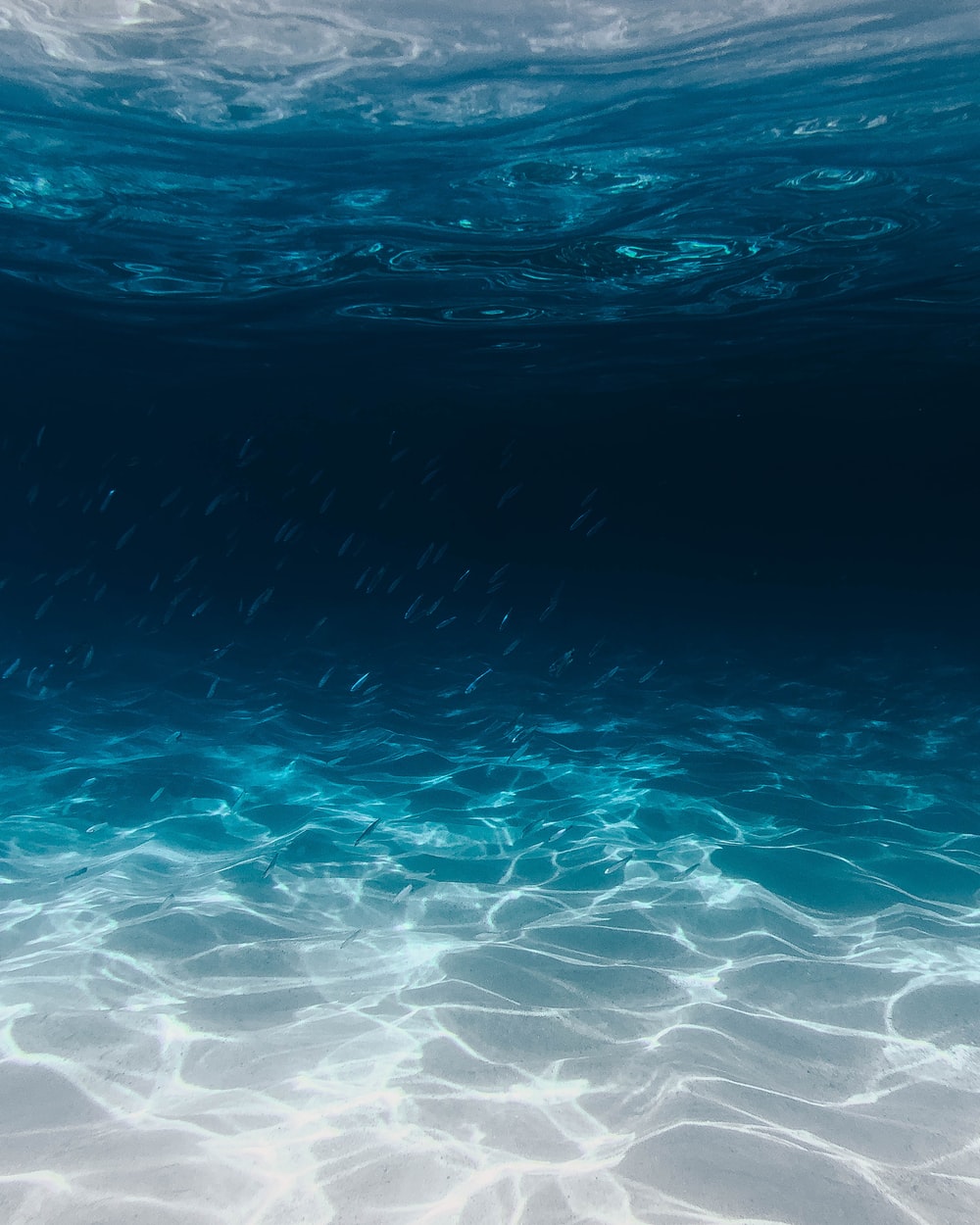 Under Ocean Picture. Download Free Image