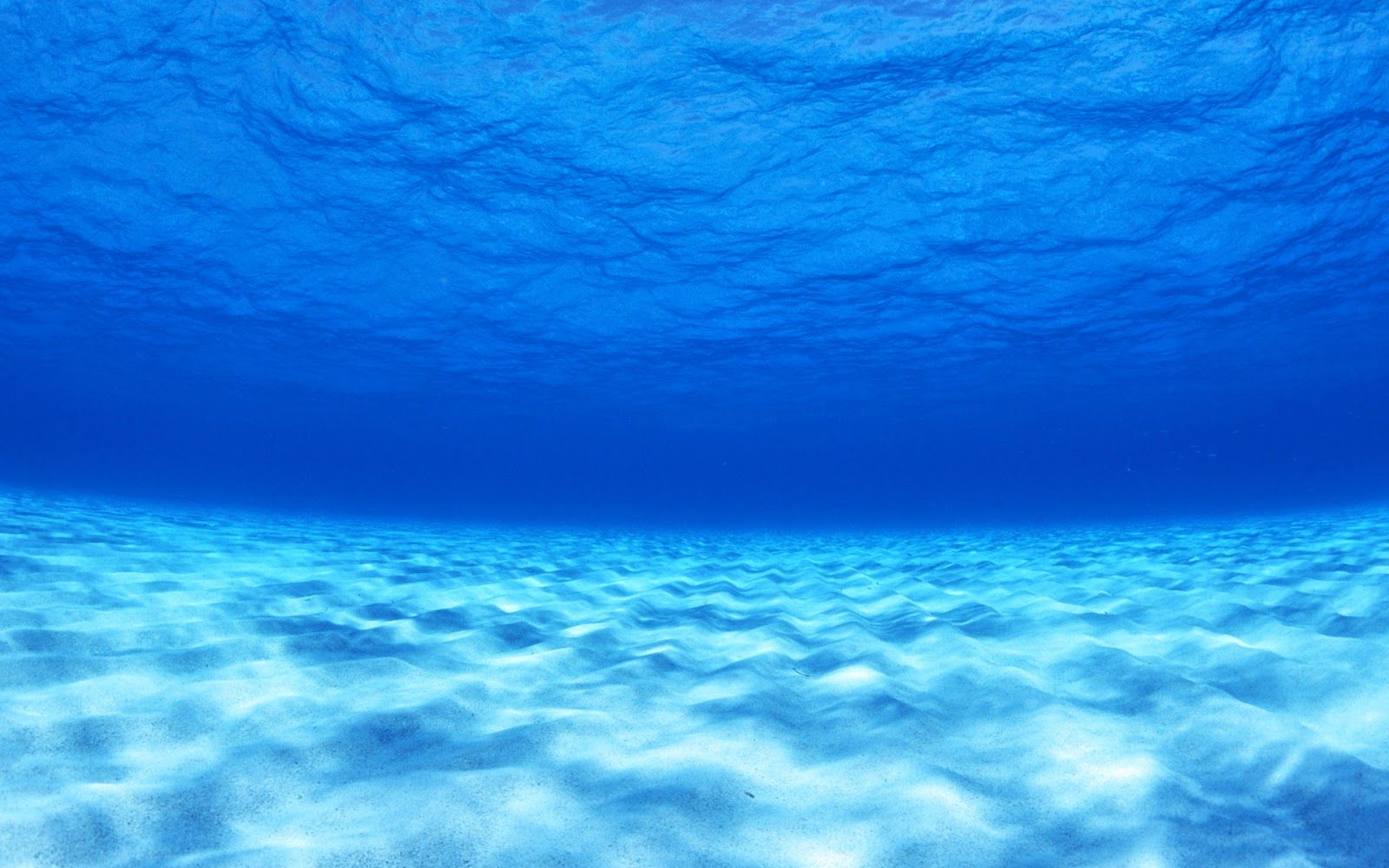 Underwater Wallpaper